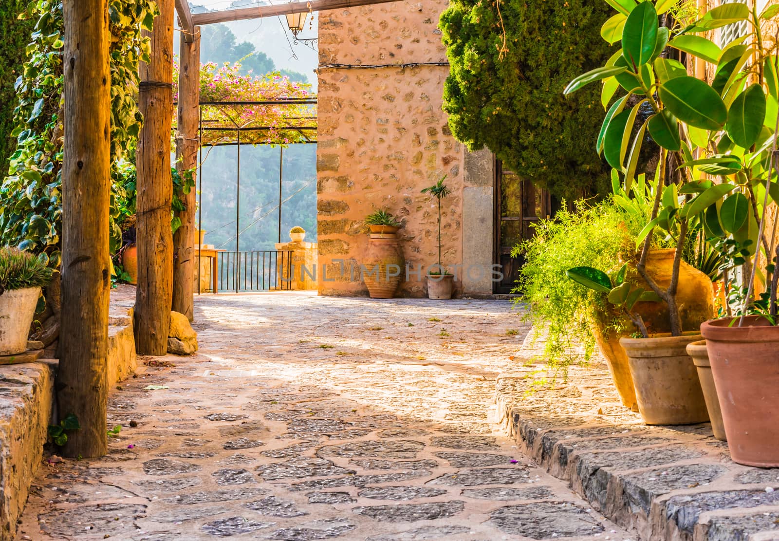 Mediterranean terrace with beautiful potted plants and idyllic sunset light