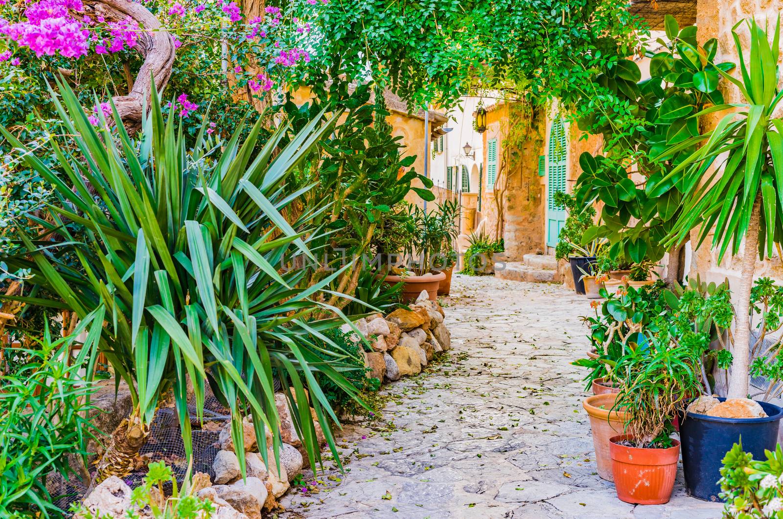 Mediterranean house with beautiful flower pots and potted plants garden