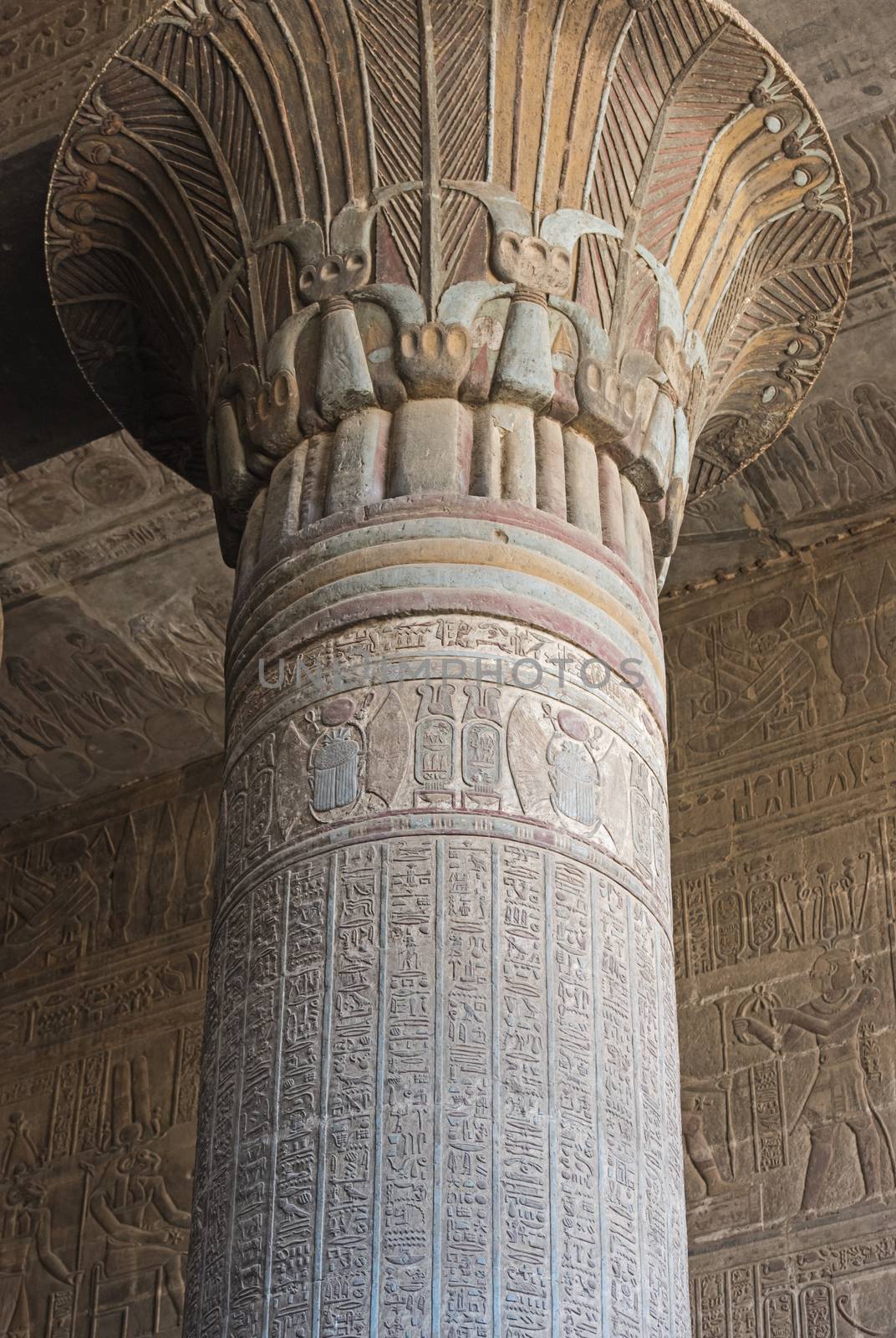 Column in the ancient egyptian temple of Khnum at Esna with hieroglyphic carvings