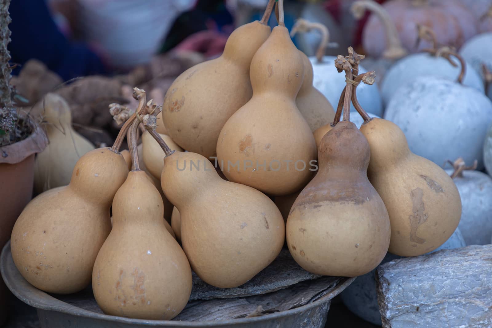 Dried bottle gourd or calabash gourd in northern market of Thailand. by phanthit