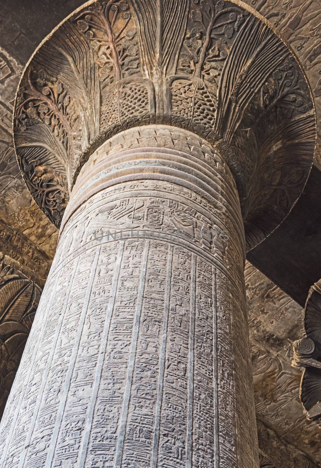 Column in the ancient egyptian temple of Khnum at Esna with hieroglyphic carvings and ornate tulip top