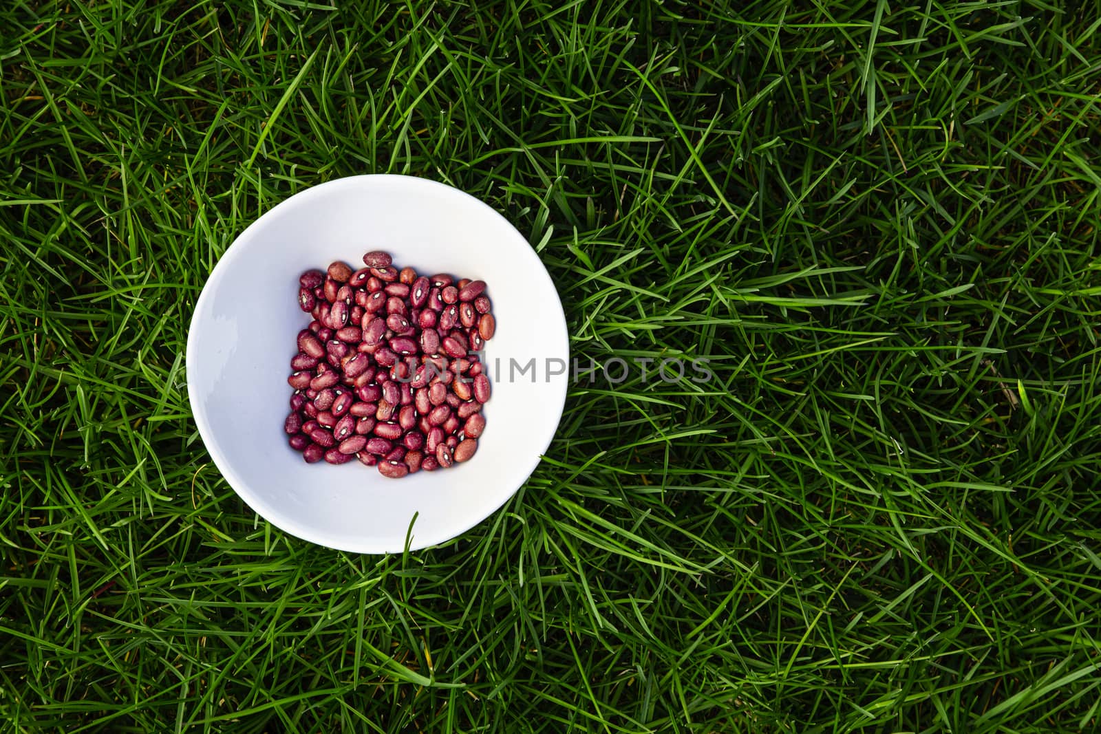top view of a bowl of dry red beans on top of green grass