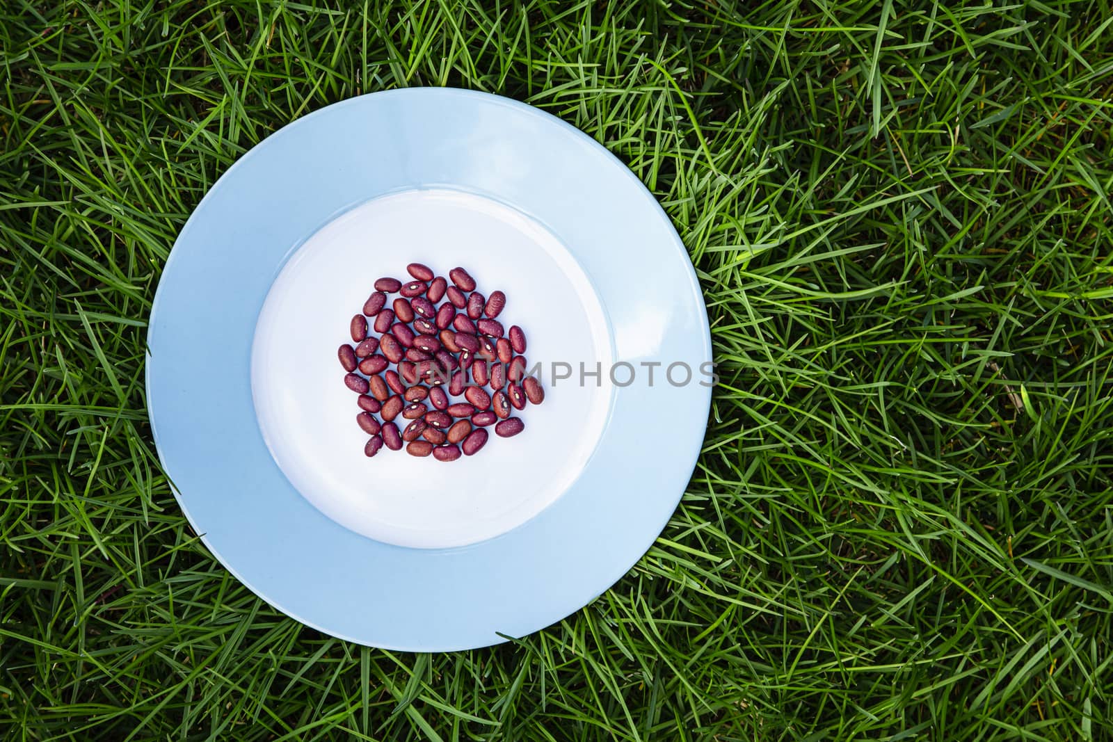 Dry red bean on a blue rimmed plate on top of green grass