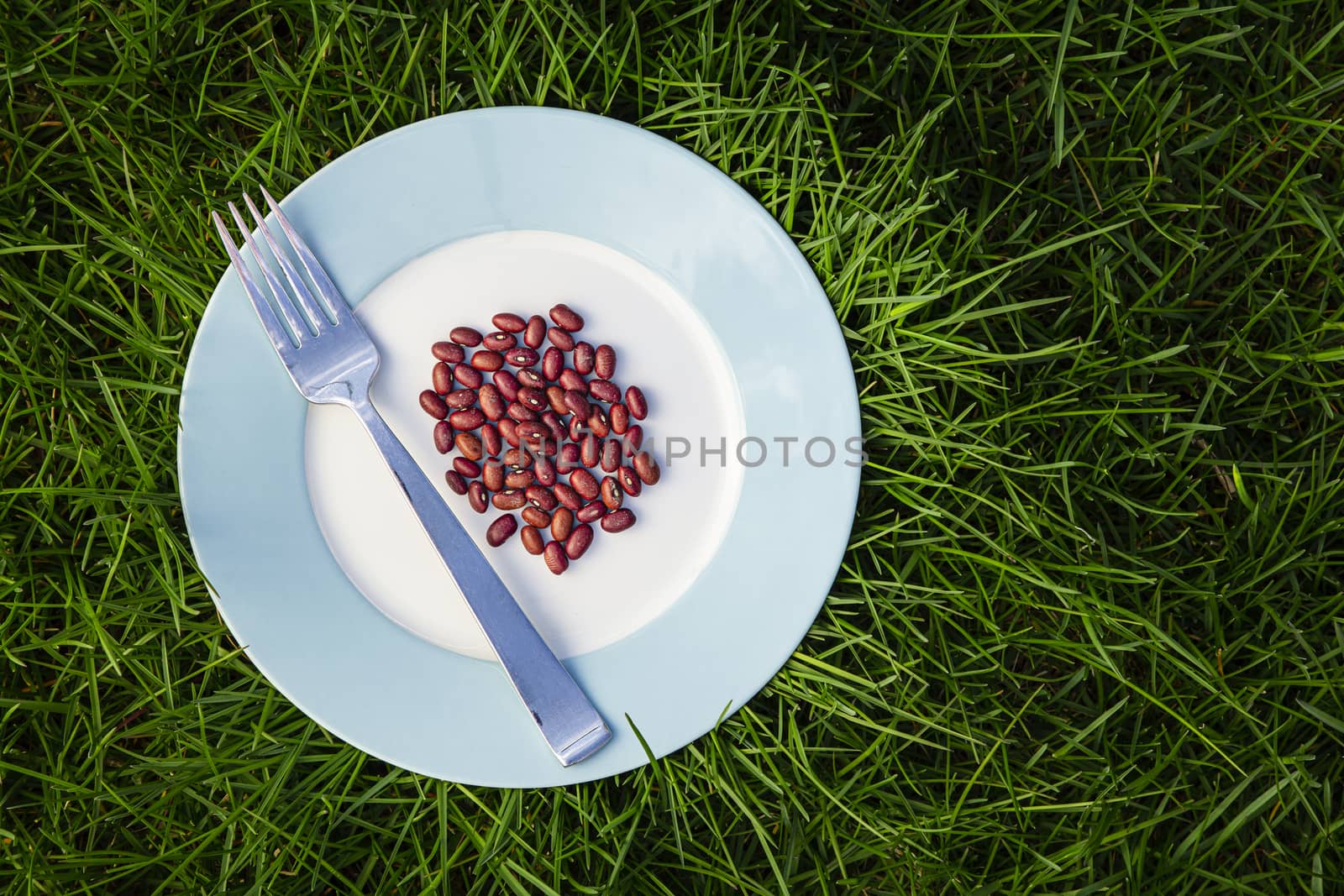 plate of dry red bean, with fork, sitting on top of green grass