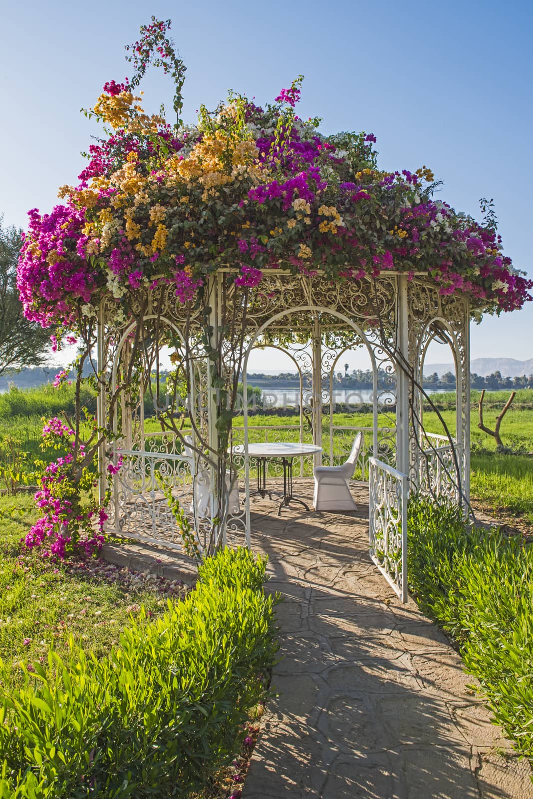 Steel metal pagoda pavilion with table and chairs in formal rural garden setting on river bank and flowering bougainvillea plant