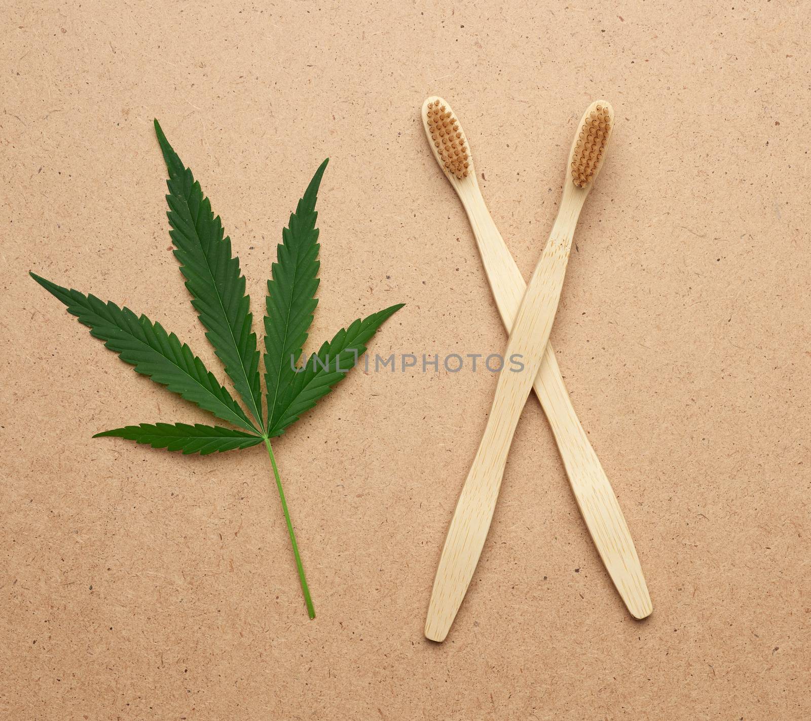 two wooden toothbrushes and green hemp leaf, plastic rejection concept, zero waste 