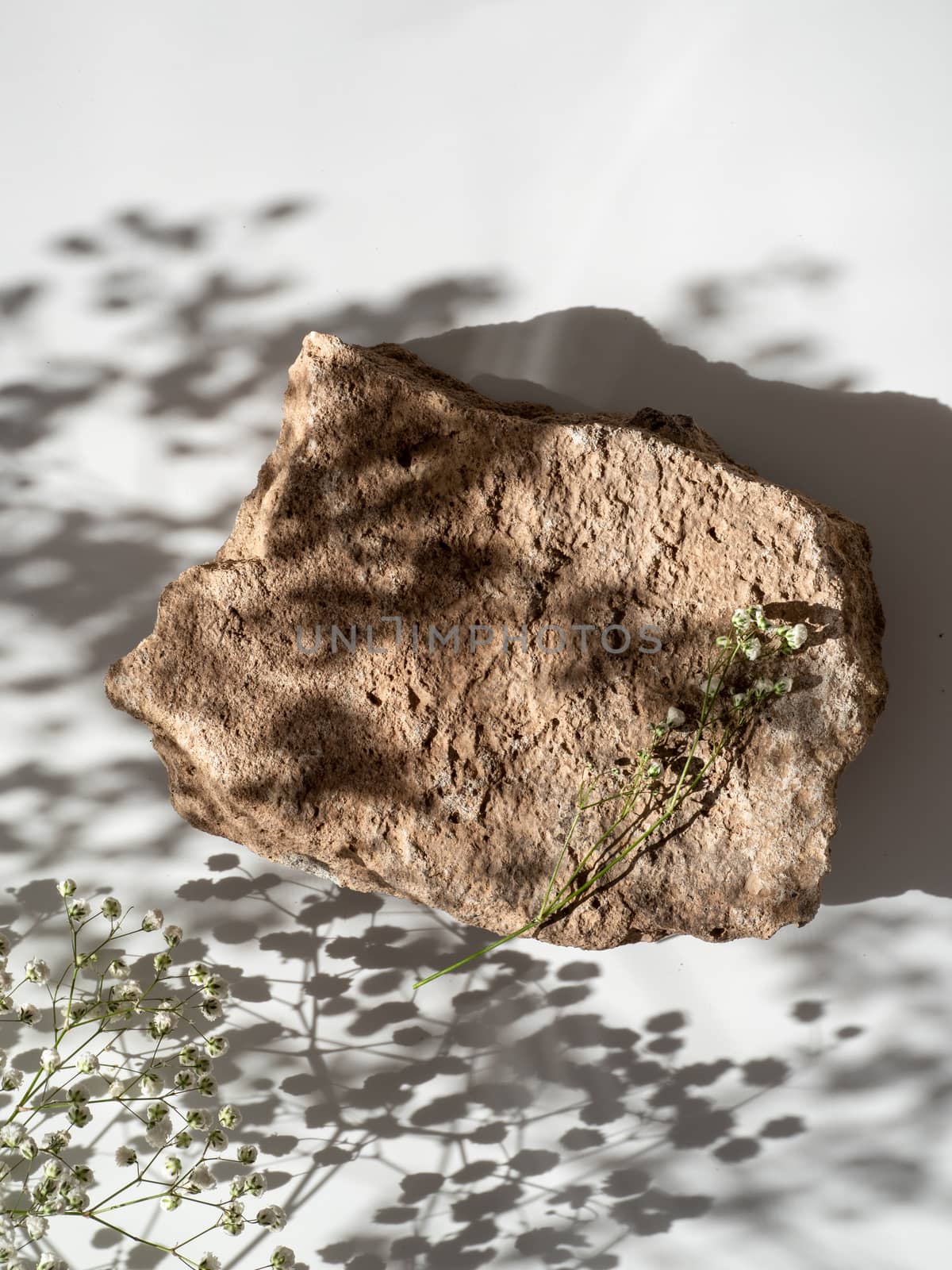 Mockup geometric shape podium top view. Stone shape with gypsophila flowers shades over white background. Vertical. Flat lay