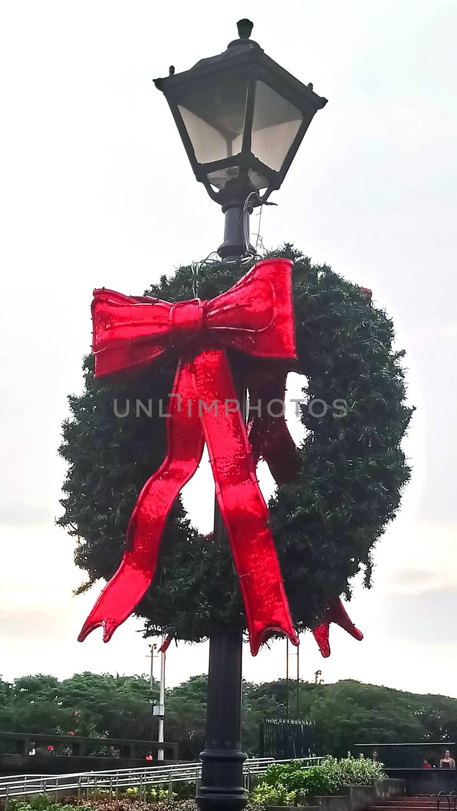 Christmas wreath with ribbon on lamp post of the park