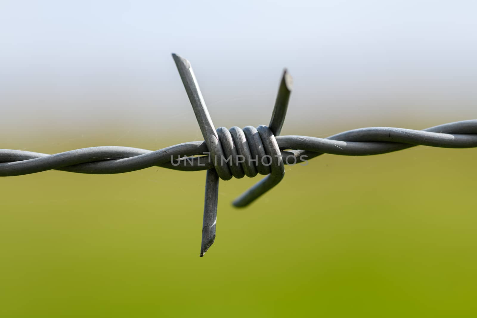 Close up of a barbed wire fence