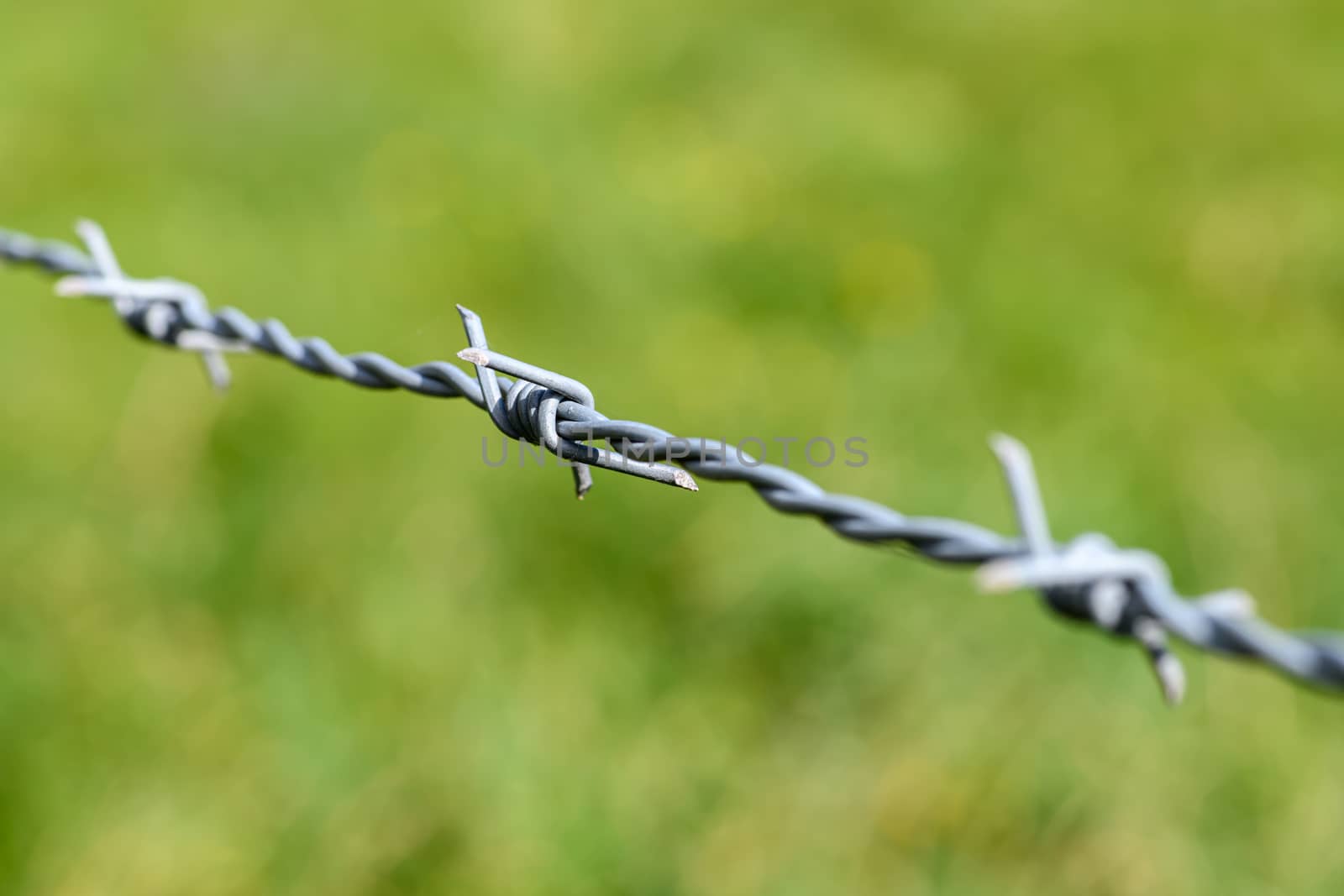 Close up of a barbed wire fence