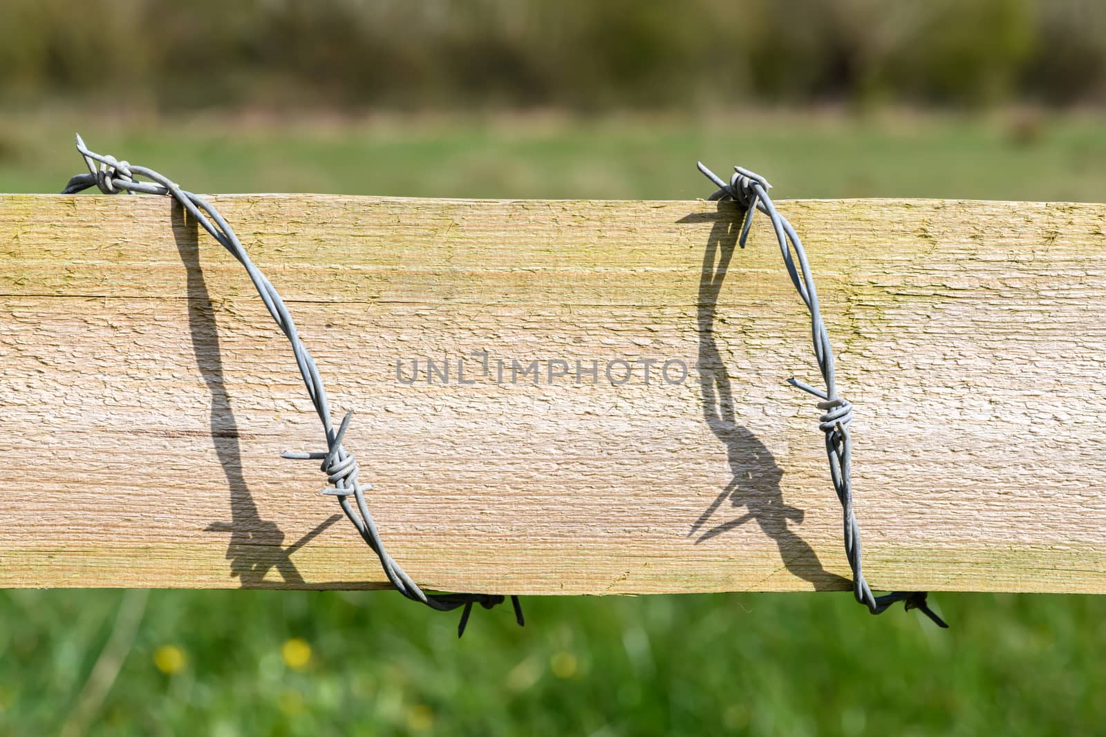 Close up of a barbed wire fence