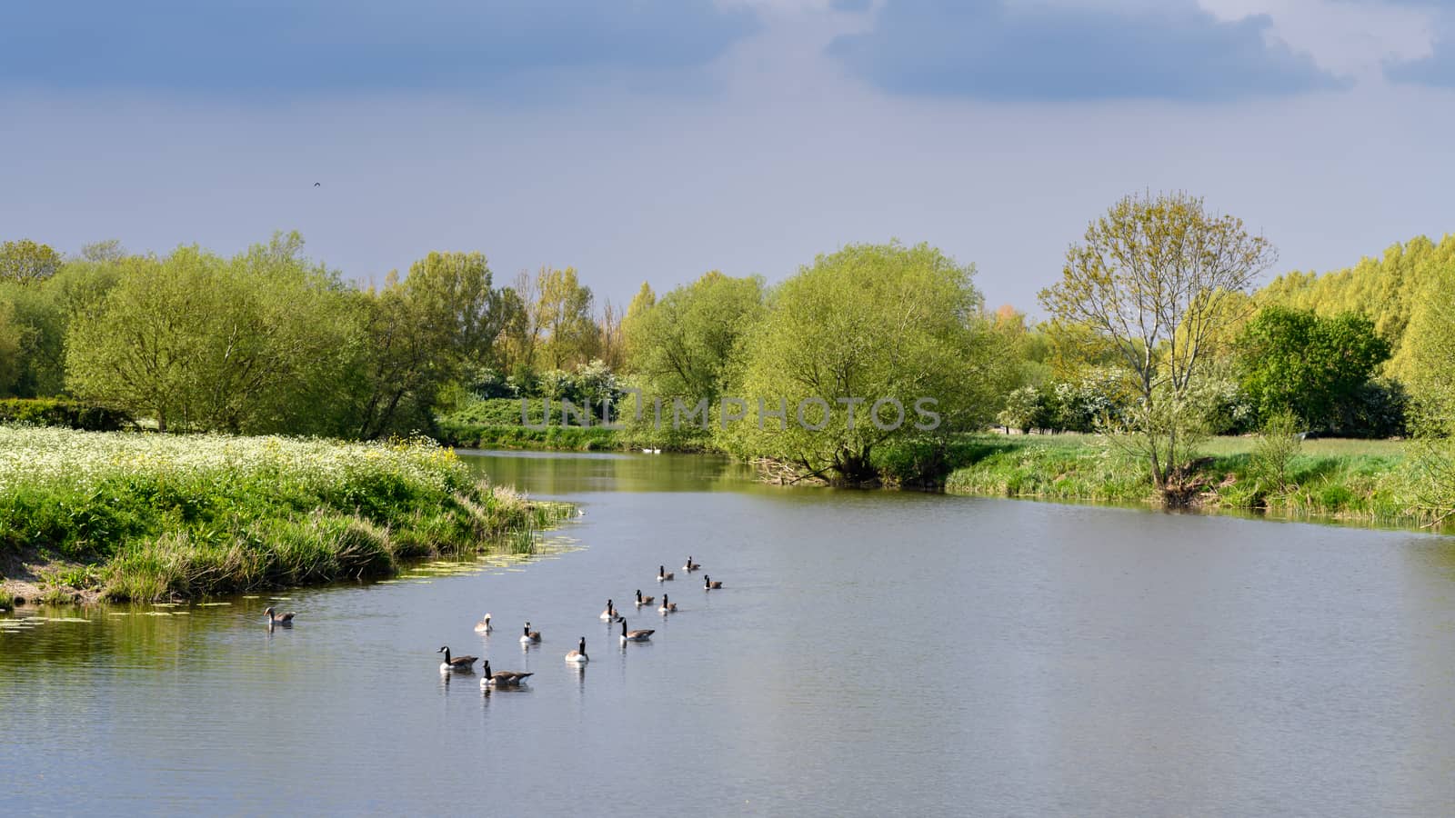 View along the River Avon in Worcestershire
