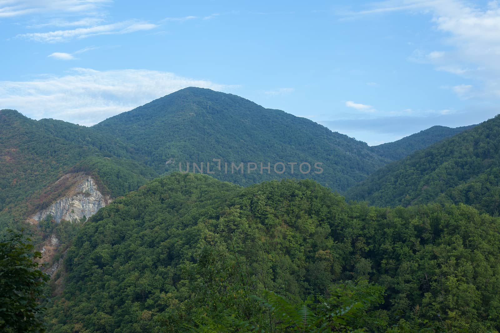 Some forested mountains of Caucasus in the summer