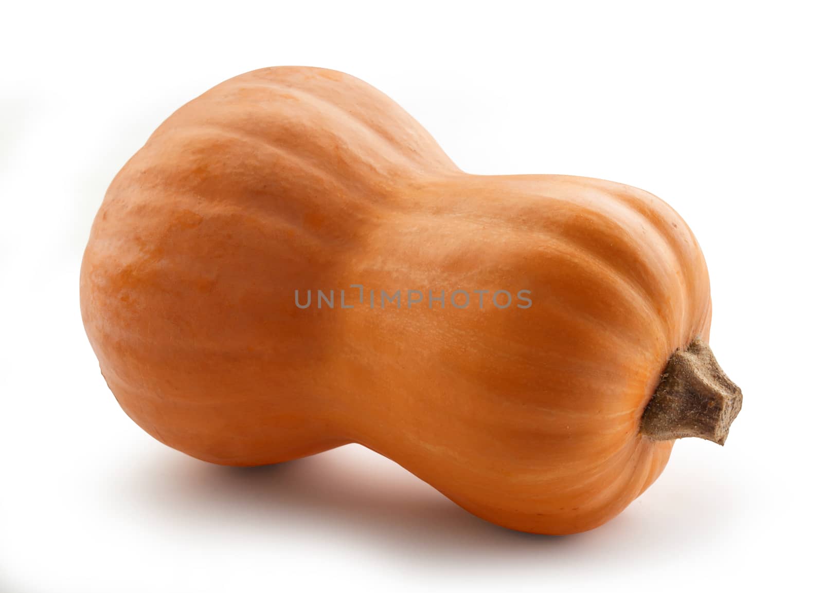 Isolated orange pumpkin on the white background