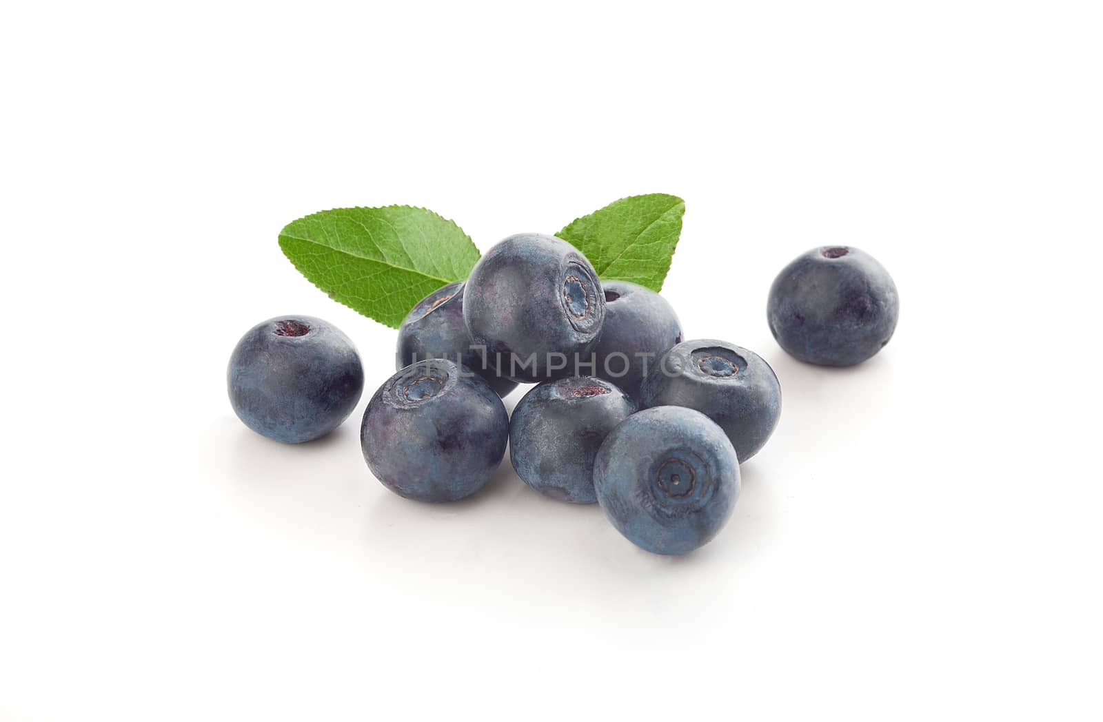 Blueberries and leaves by Angorius