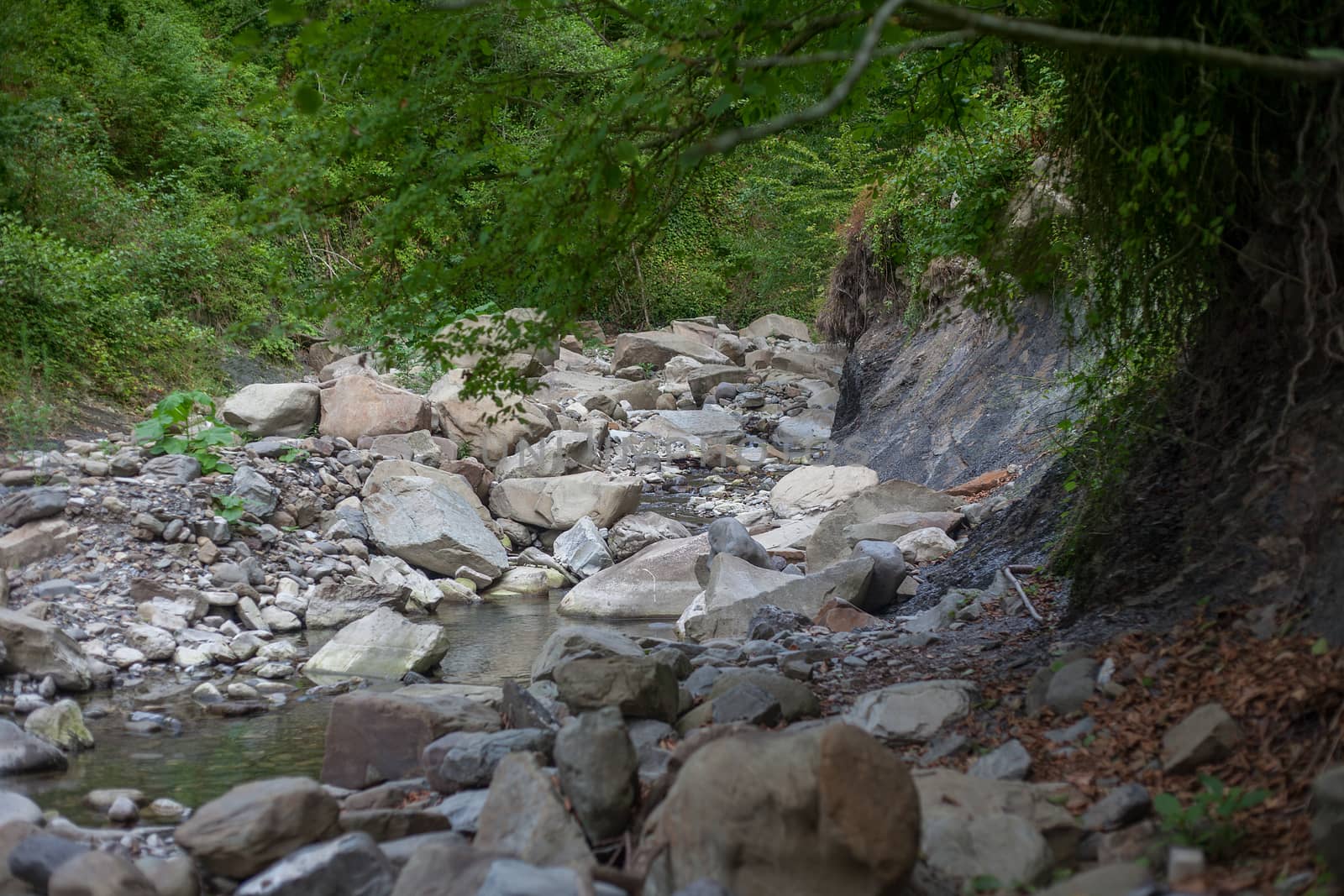 Mountain river in the stone bed by Angorius