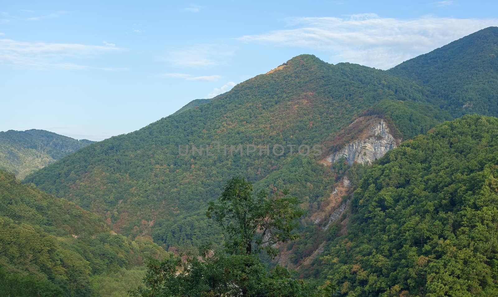 Green forested mountains  by Angorius