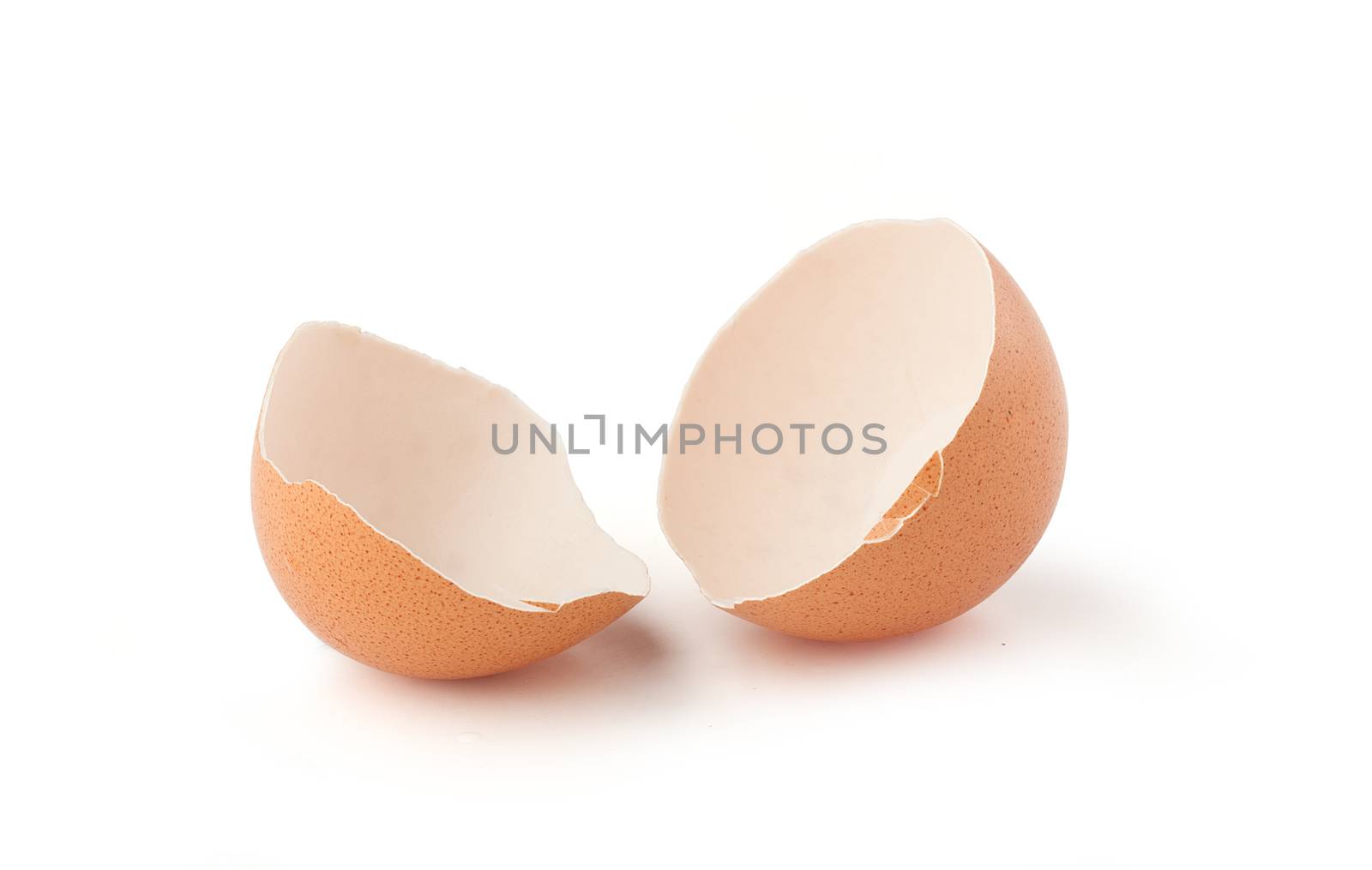 Isolated two pieces of eggshell on the white background