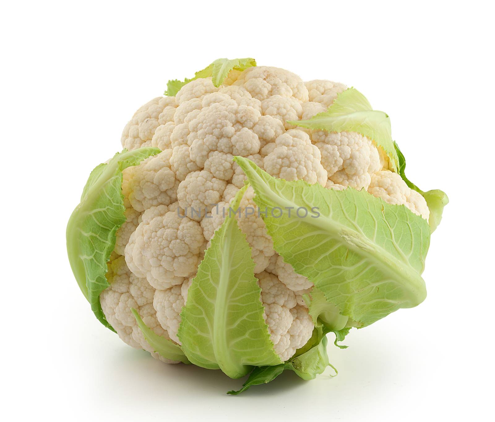 Isolated raw head of cauliflower on the white background