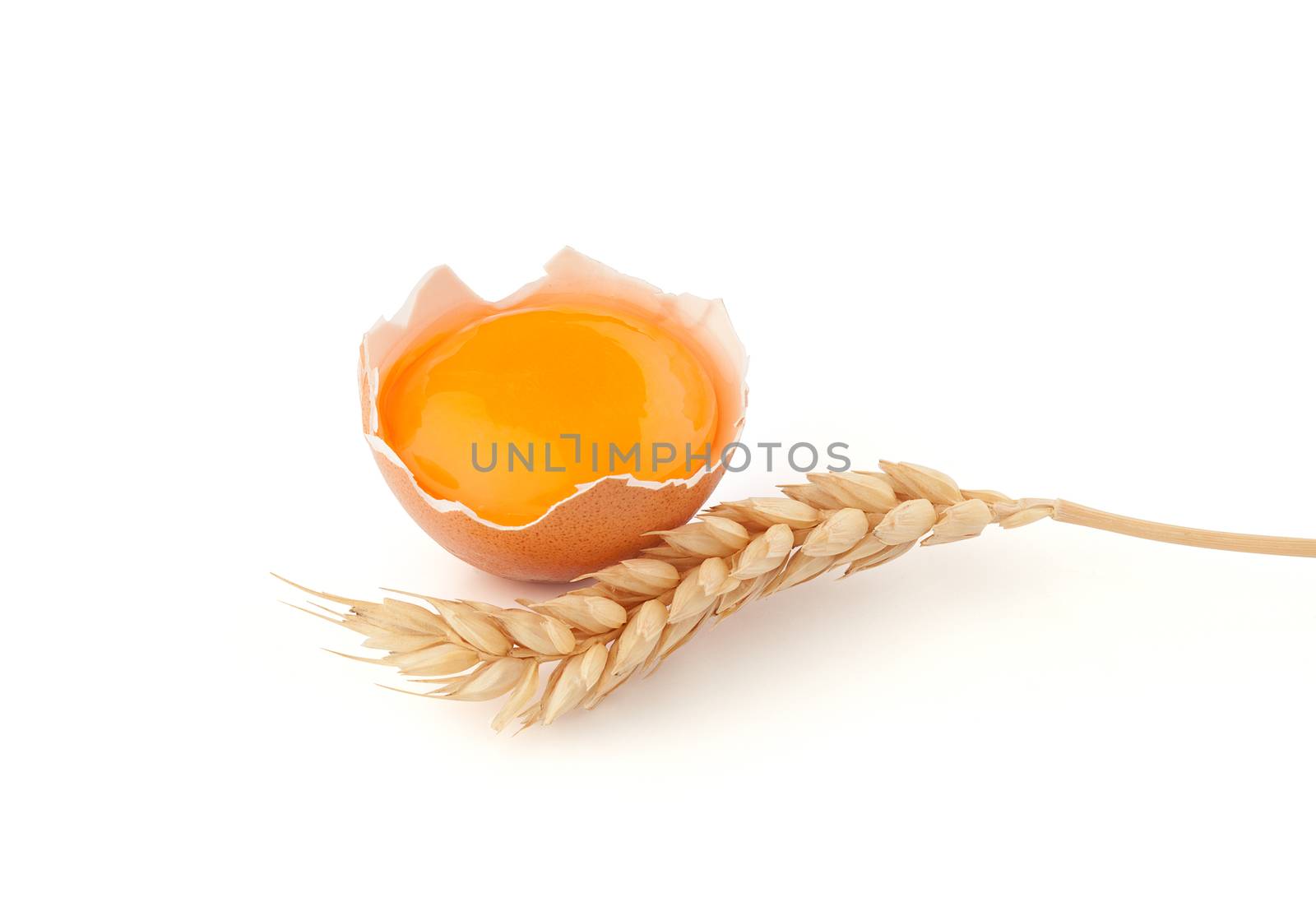 Yolk of egg in broken eggshell and wheat by Angorius