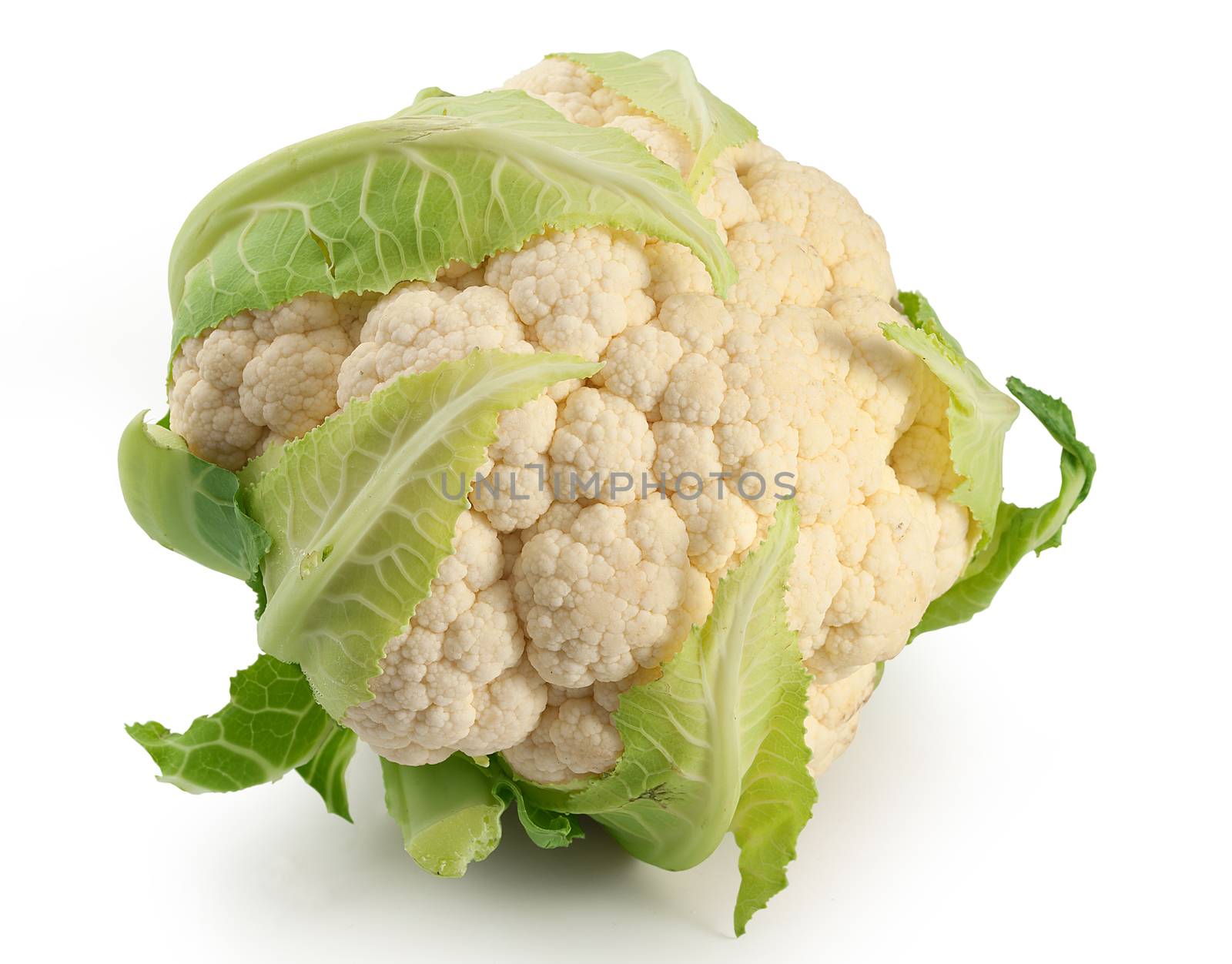 Isolated raw head of cauliflower on the white background