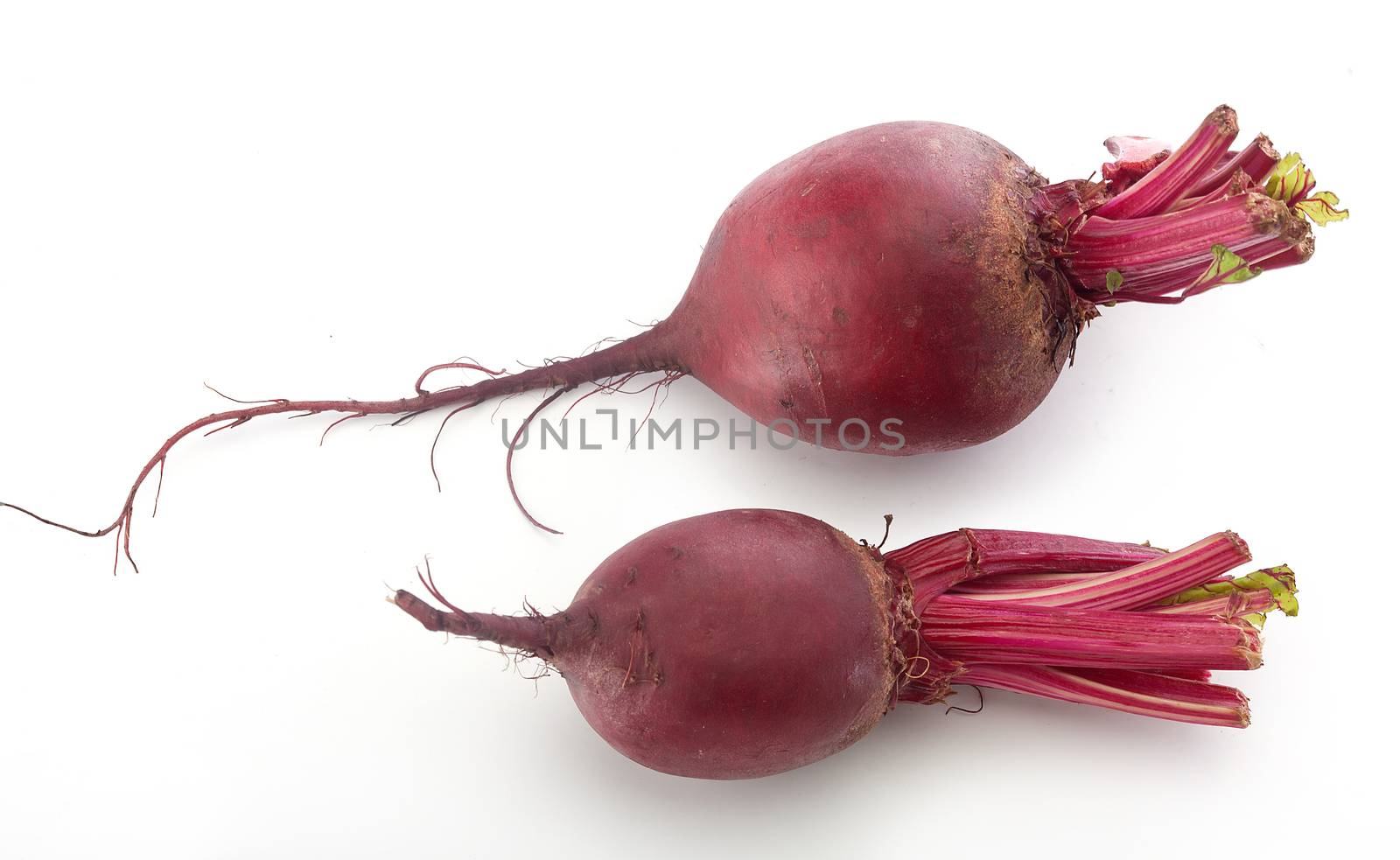 Top view of fresh red whole beet on the white