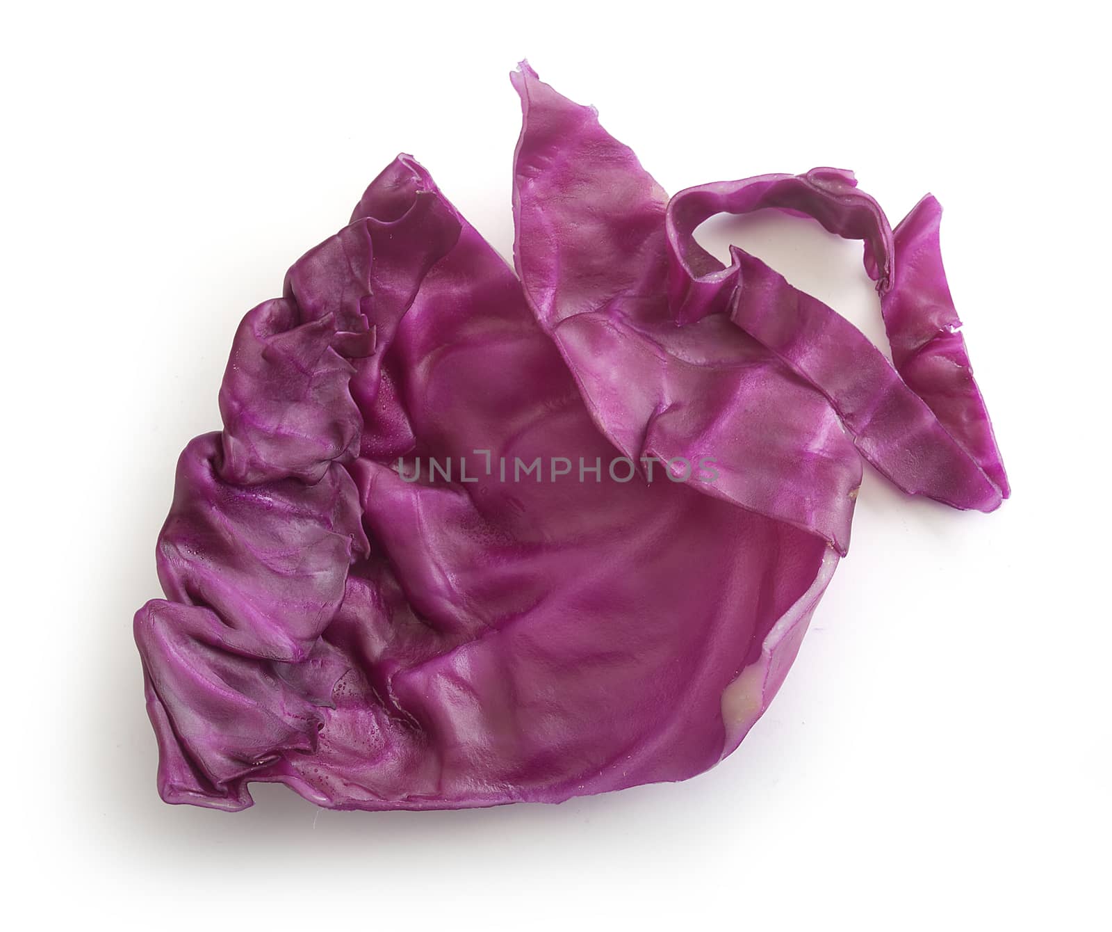 Top view of sliced piece of red cabbage on the white background