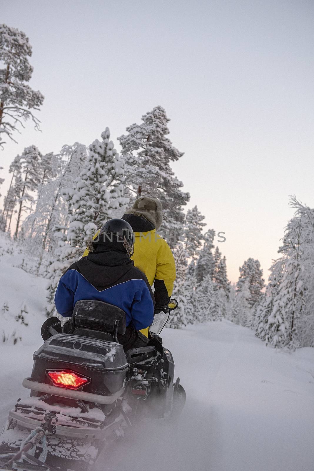 Finland, Inari - January 2019: 2 people riding on a snowmobile through the wilds of Lapland