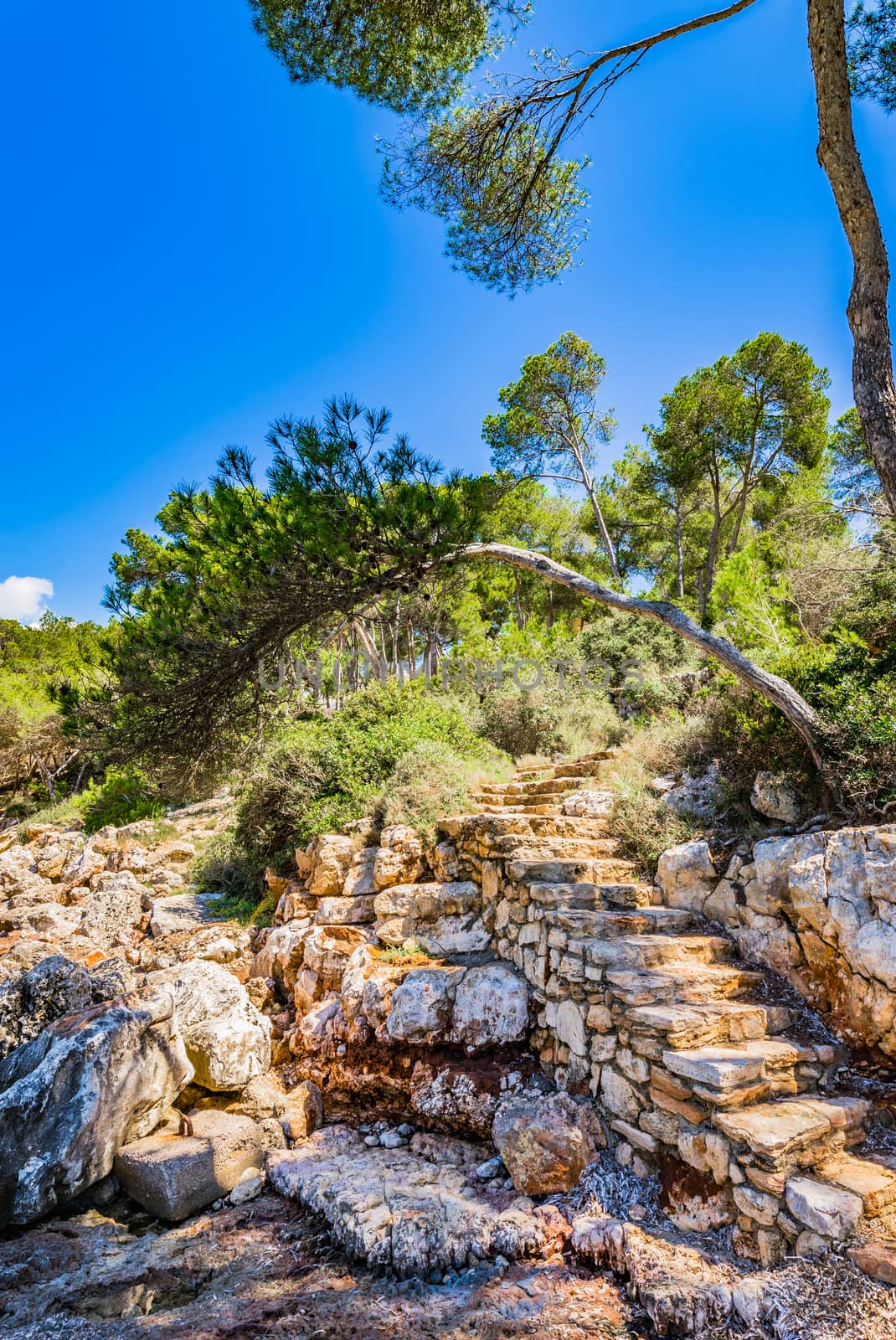 Rustic stone staircase in beautiful mediterranean landscape by Vulcano