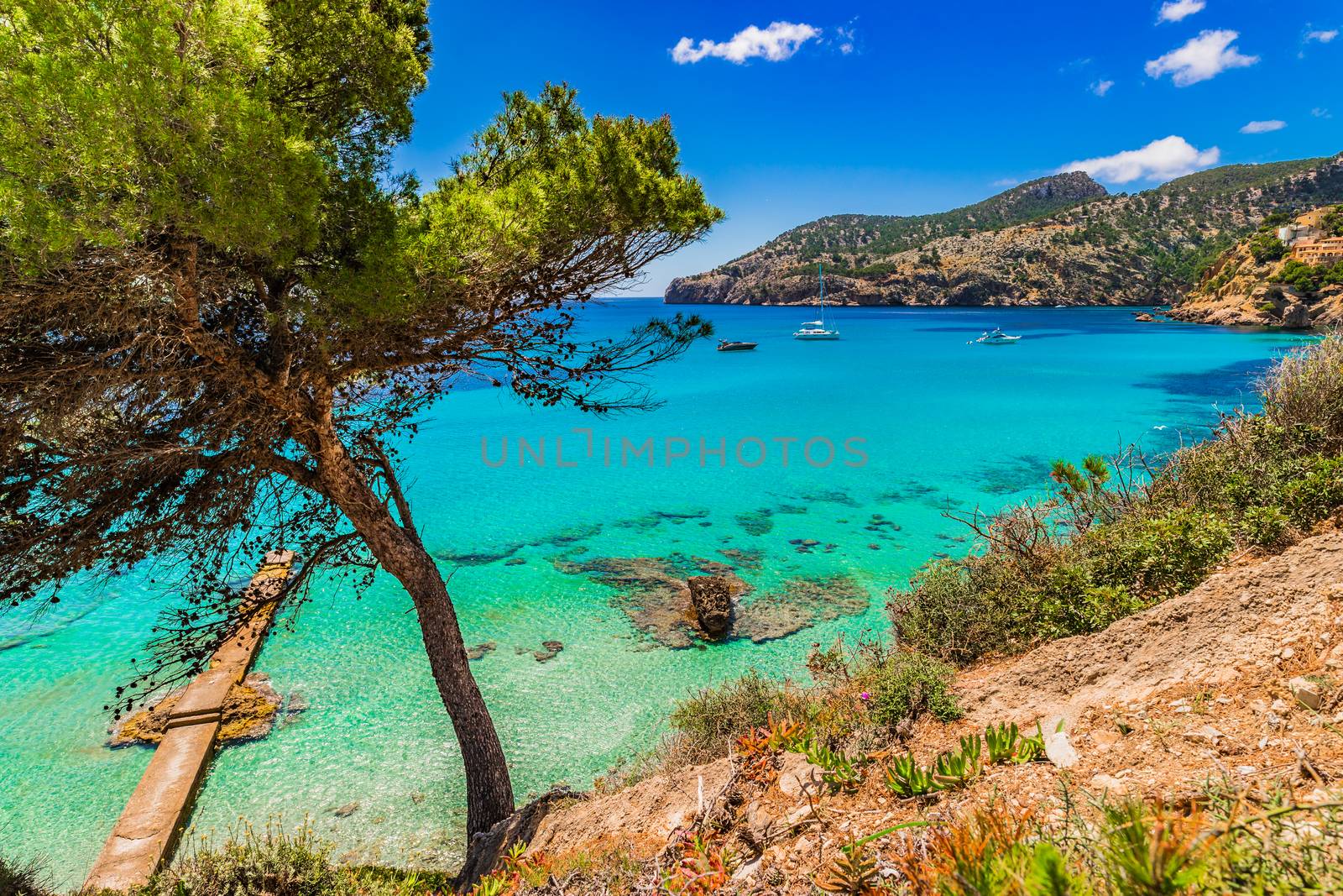 Beautiful view of Camp de Mar bay, idyllic seaside on Majorca, Spain Mediterranean Sea