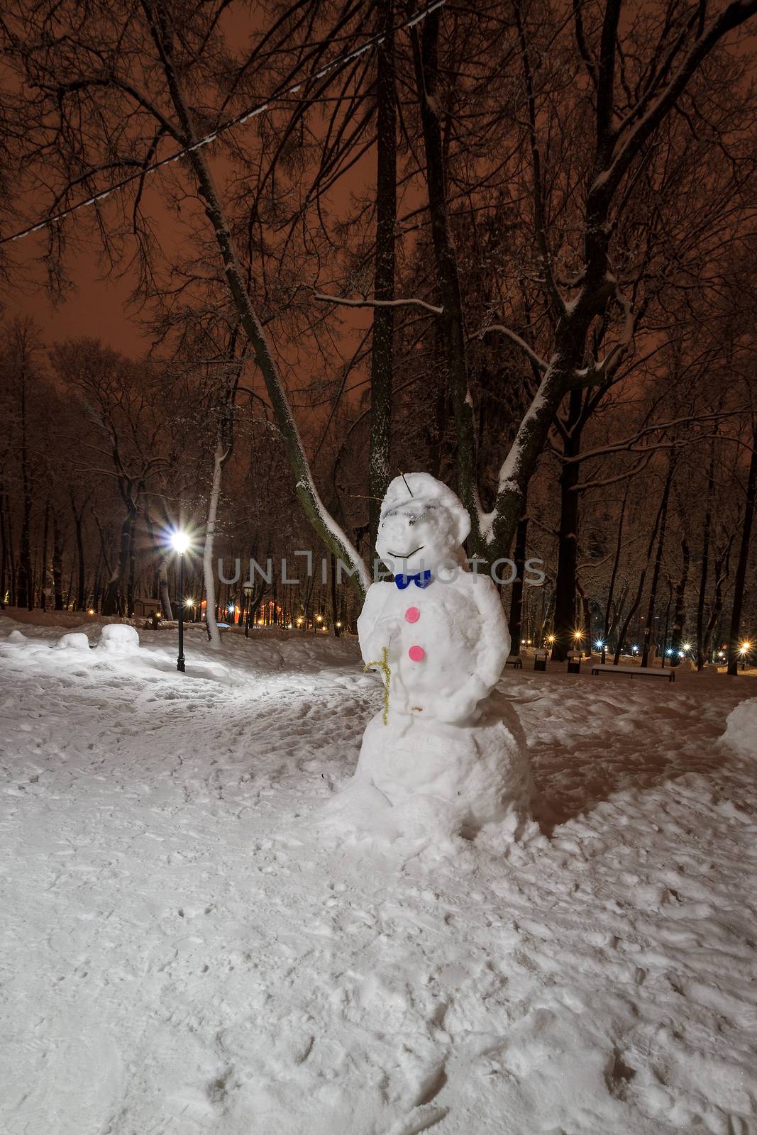 snowman at night park at winter season