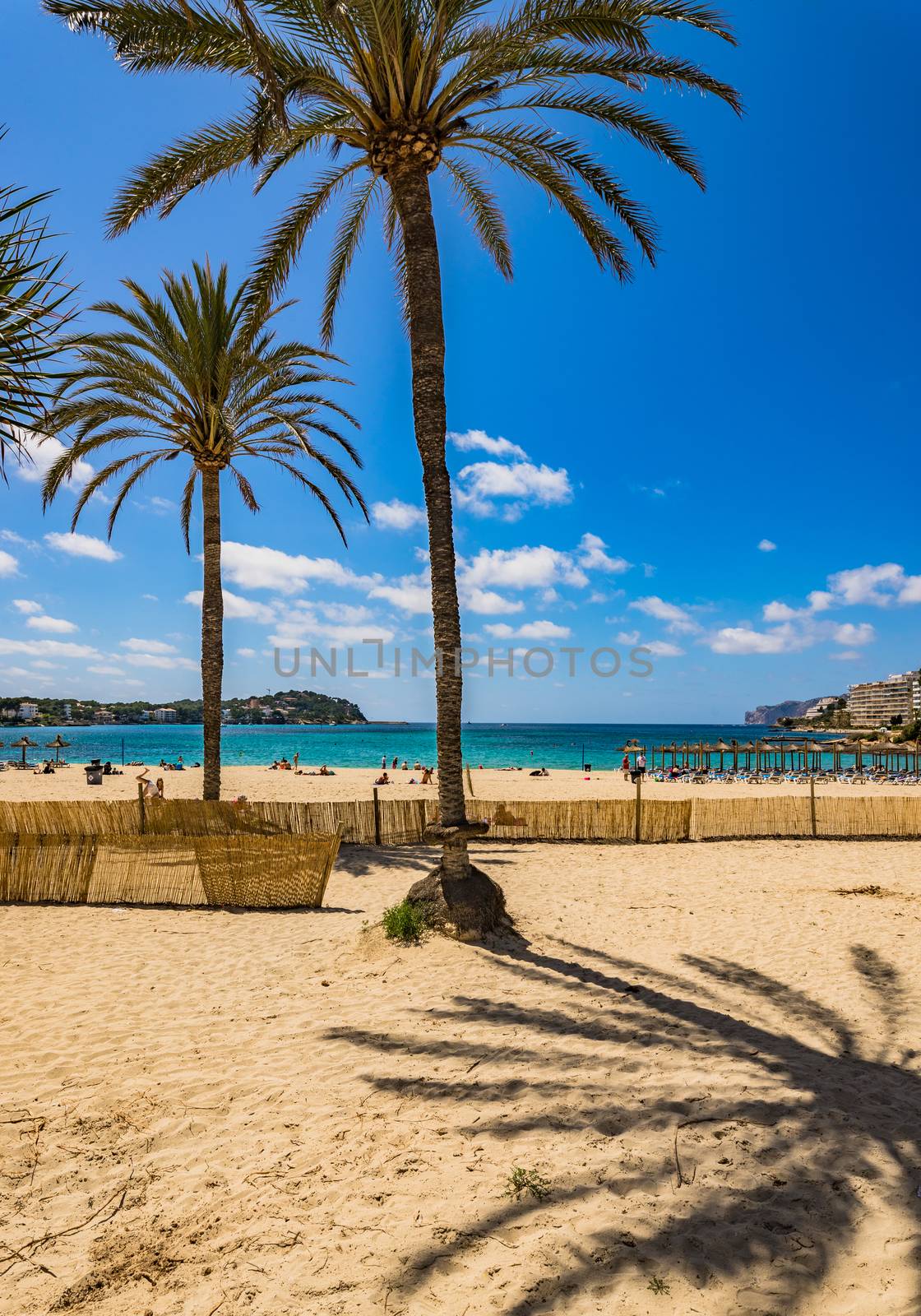 Mallorca, coastline bay of sand beach in Santa Ponsa, Spain Balearic Islands