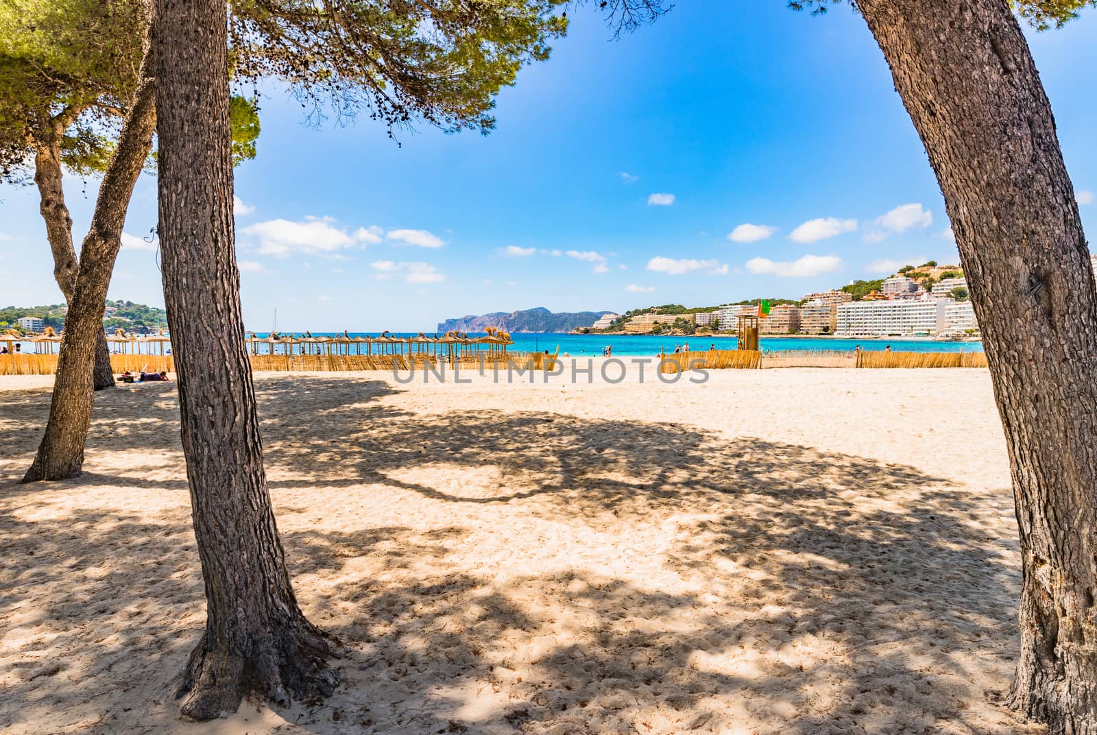 Summer holiday on sand beach in Santa Ponsa, Mallorca Spain