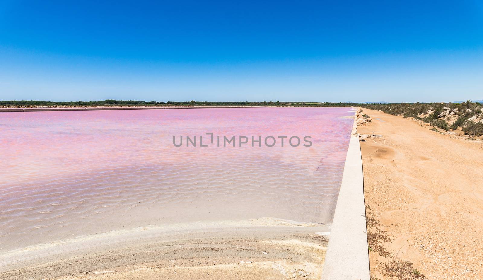 Purple colored salt basin at saline salt production