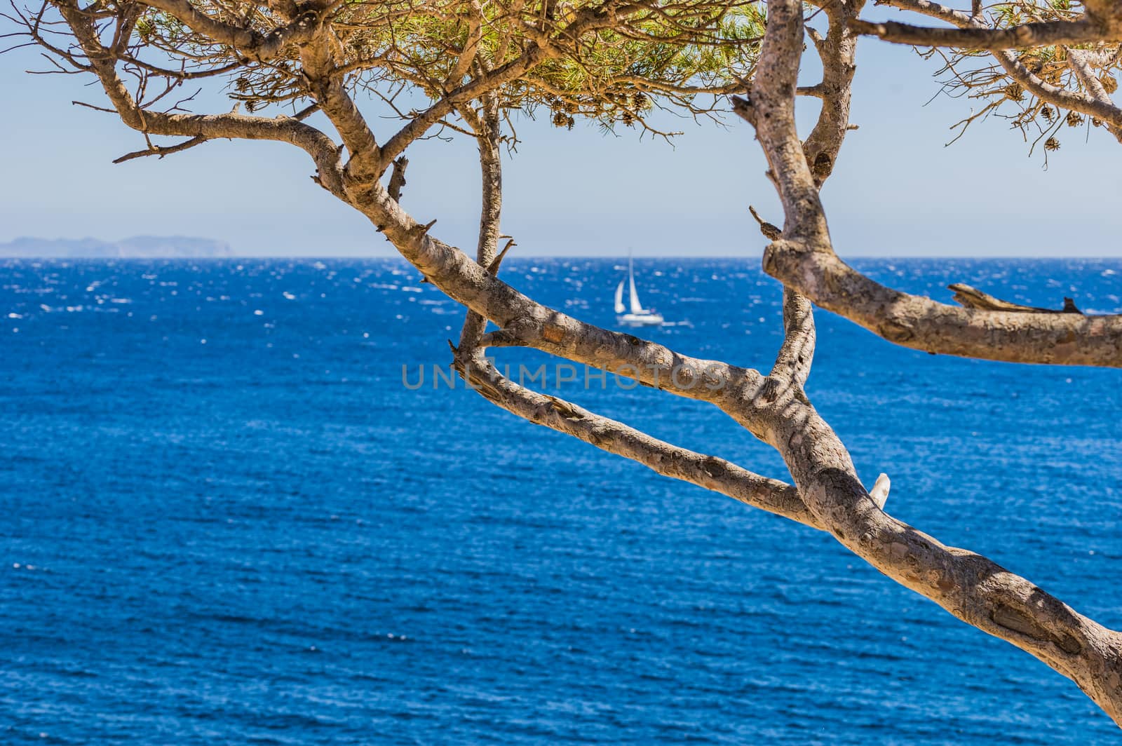 Idyllic sea view at the coast on Majorca island, Spain Mediterranean Sea