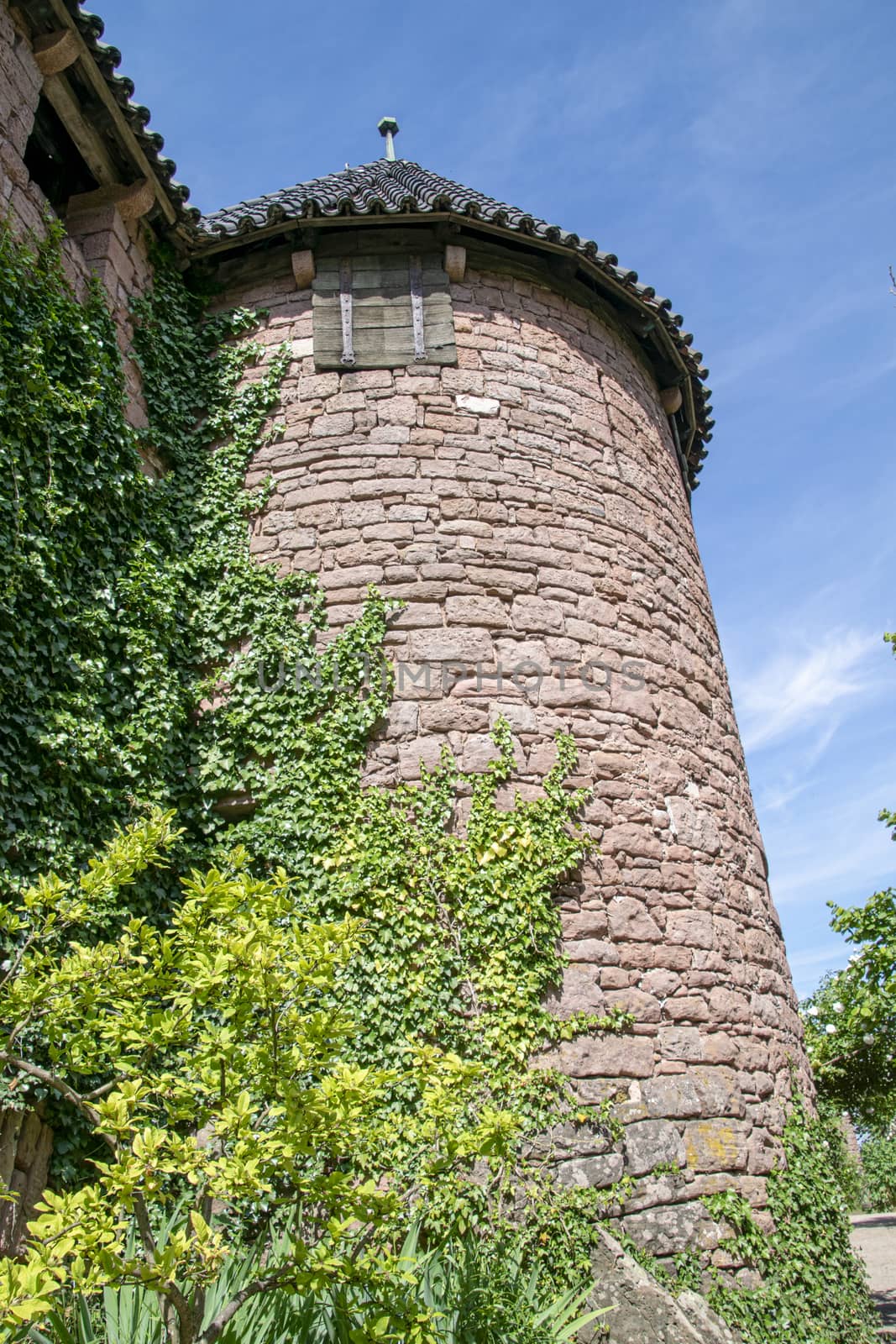 France, Haupt Koenegsbourg, June 2015:Upward view of shuttered window in ivy clad fairy tale tower 