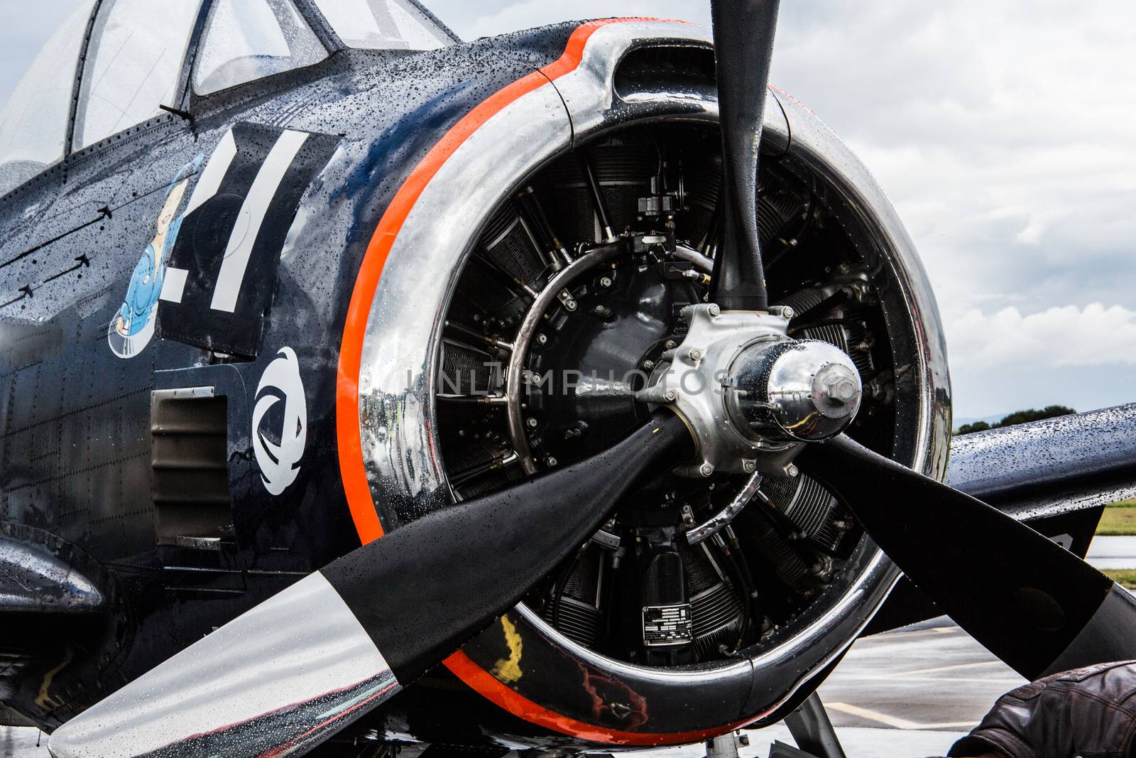 Propeller plane engine with propeller by Dr-Lange