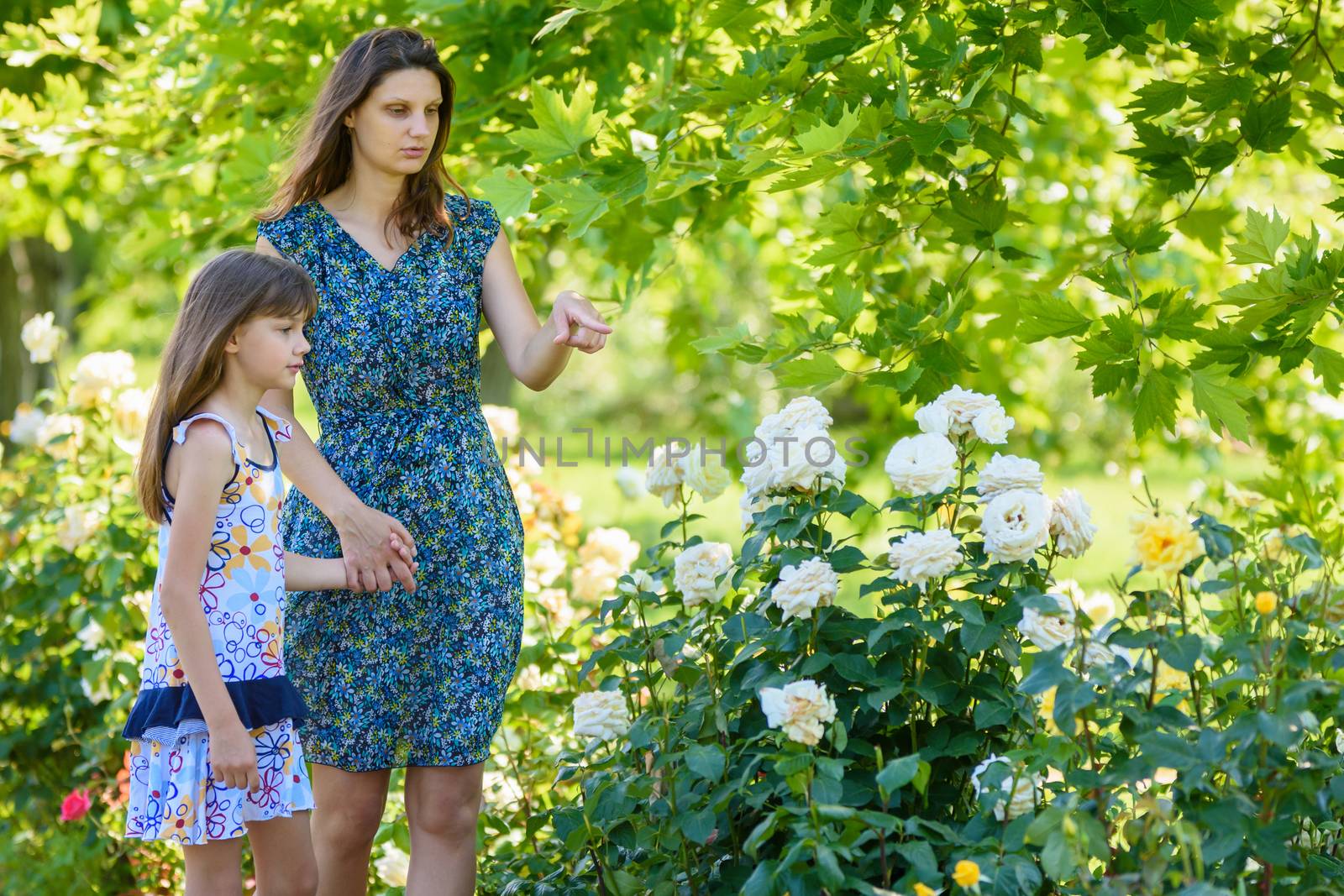 Mom and daughter walk in the garden with roses