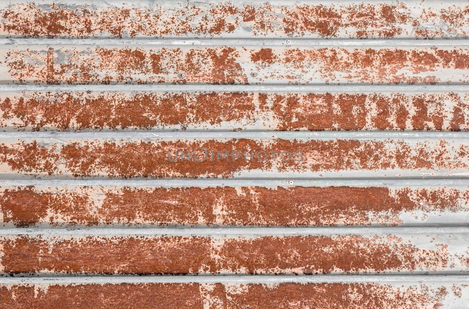 Closed security shutters. Background texture.