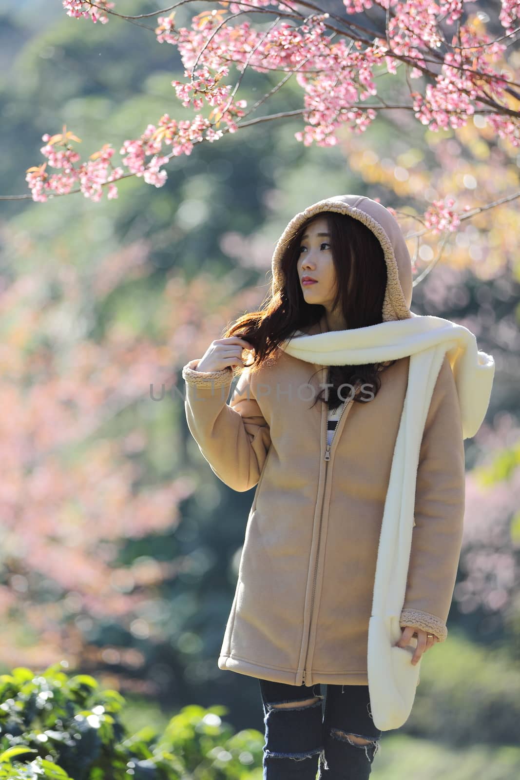 beautiful young woman with blooming cherry blossoms sakura flowers