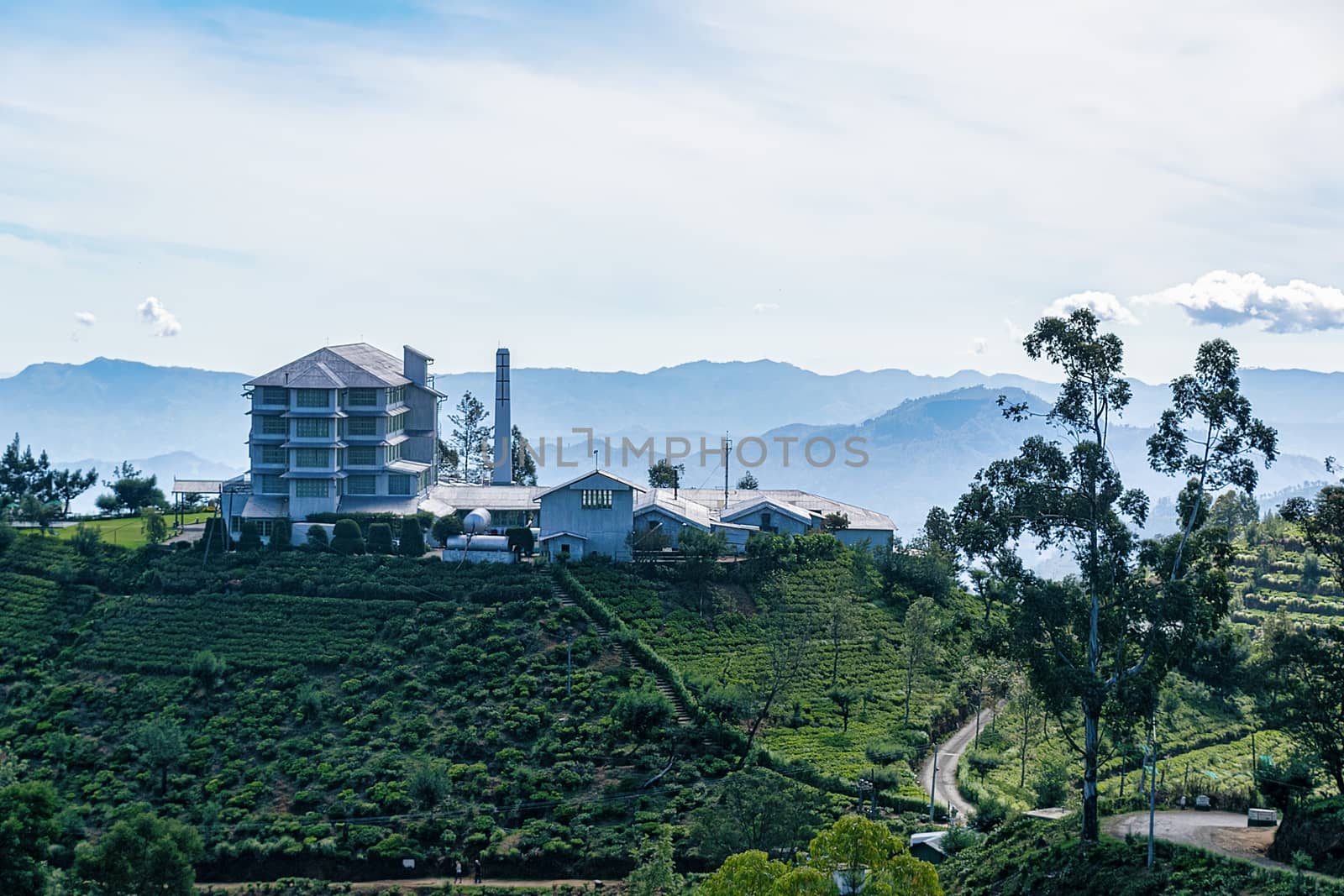 Nyura Ellia, Sri Lanka, Aug 2015: Tea Factory sitting on top of a hill