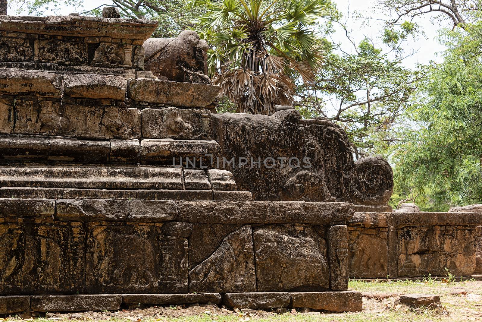 Polonnaruwa, Sri lanka, Sept 2015: Place ruins, reclaimed from the jungle. Polonnaruwa was established by the Cholas as capital city under the name Jananathapuram in the 10th century.