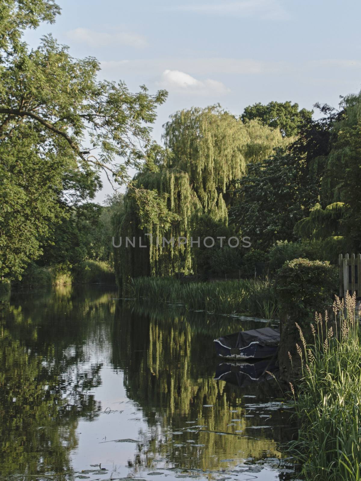 UK, Leicestershire - June 2015: Village back water - a weeping willow a rowing boat and reflections