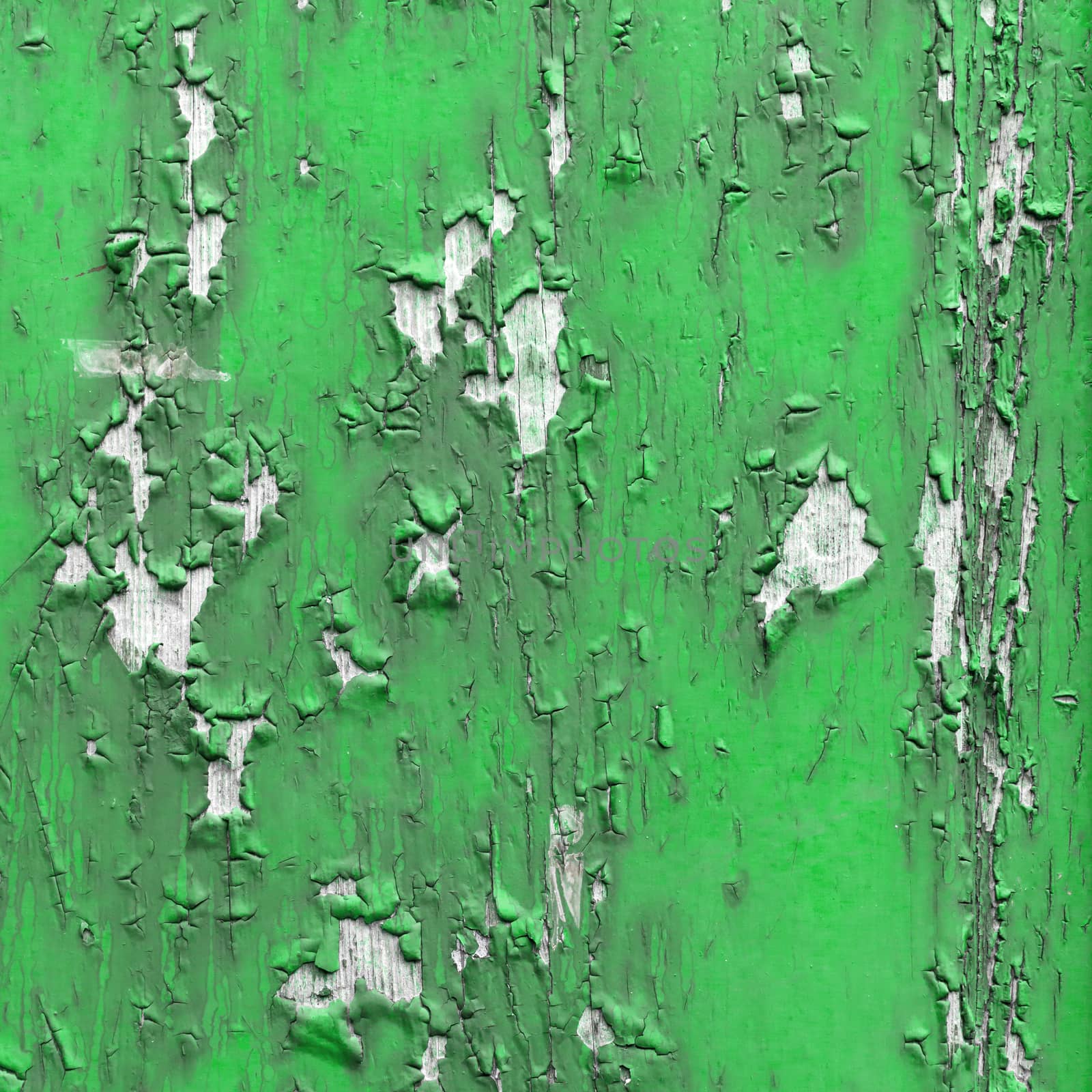 Painted green boards by germanopoli