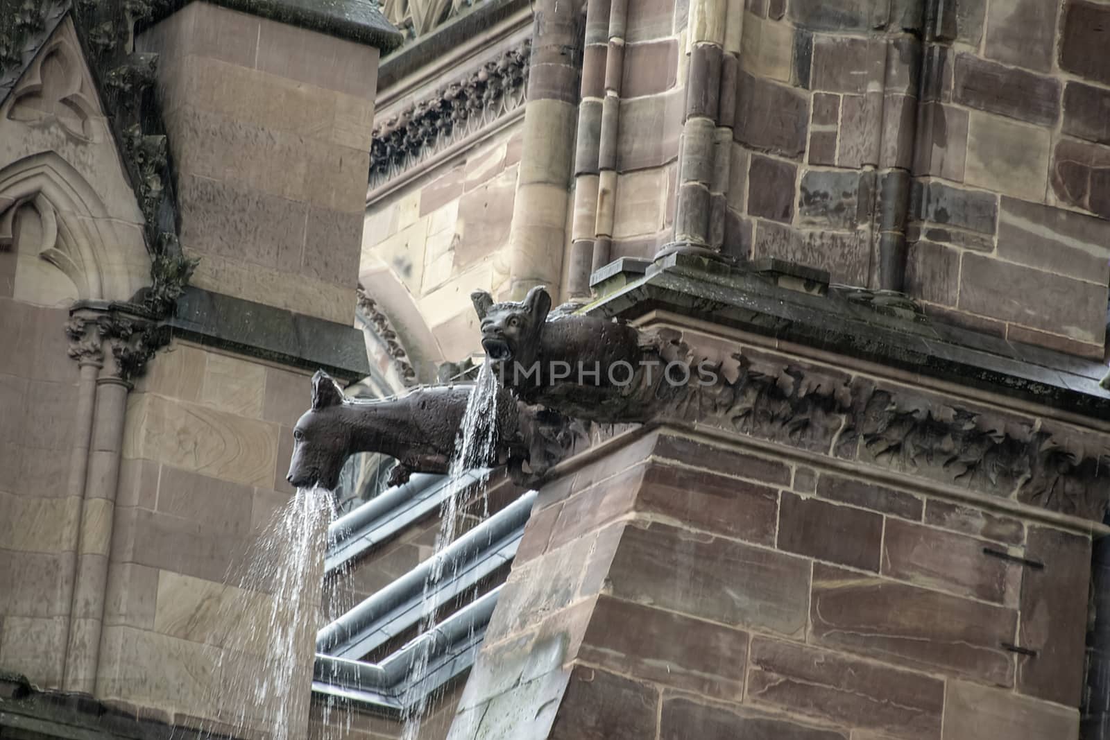 France, Alsace, June 2015: Spires of Strasbourg cathedral in heavy rain