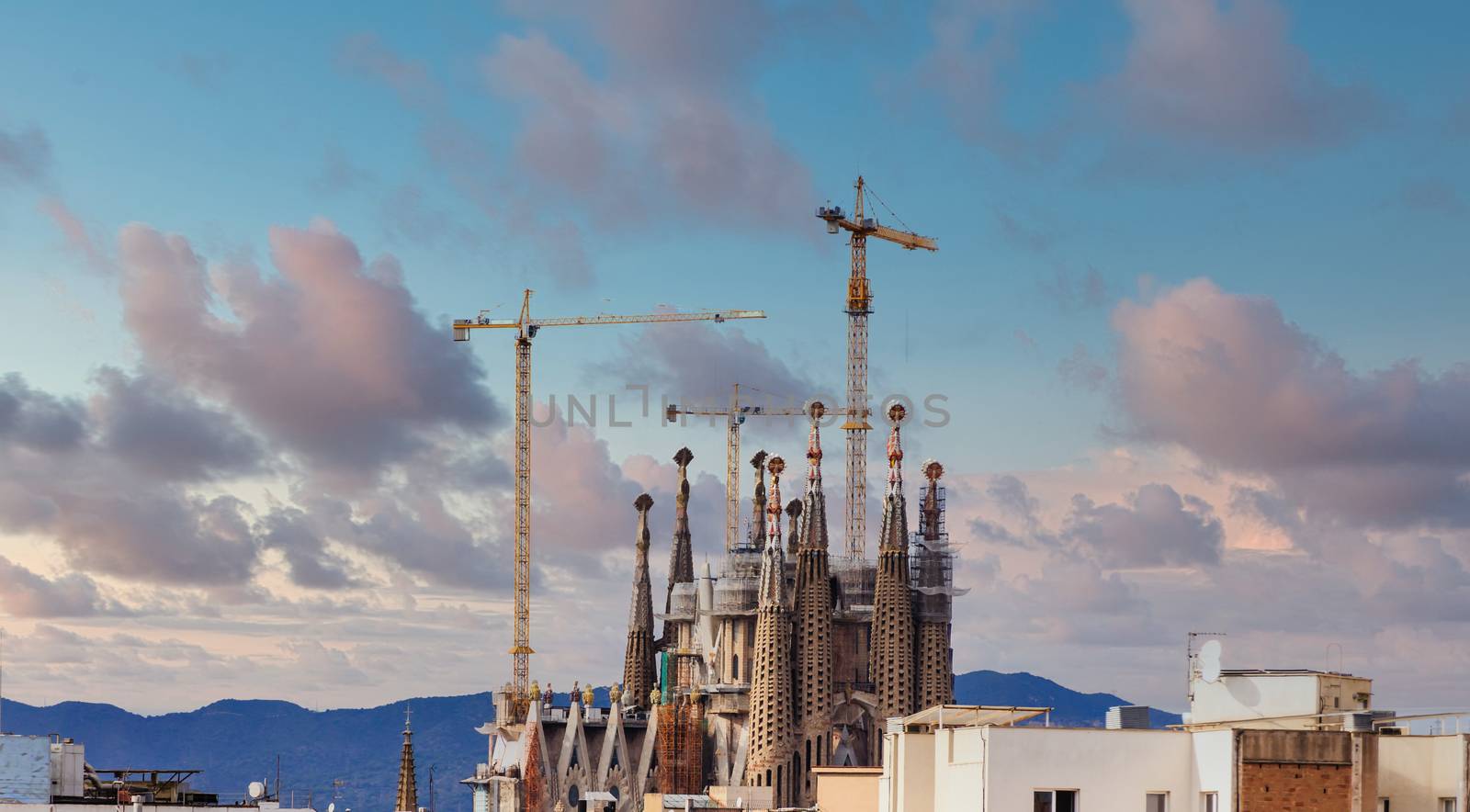 Yellow Cranes Over Barcelona Steeples by dbvirago
