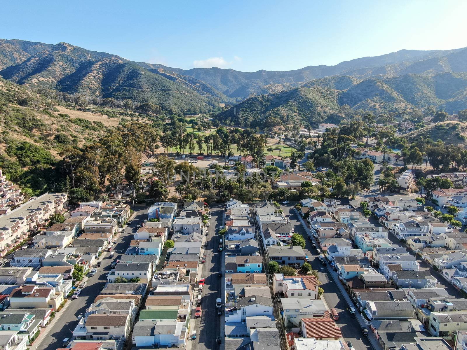 Aerial view of Avalon downtown in Santa Catalina Island, USA by Bonandbon