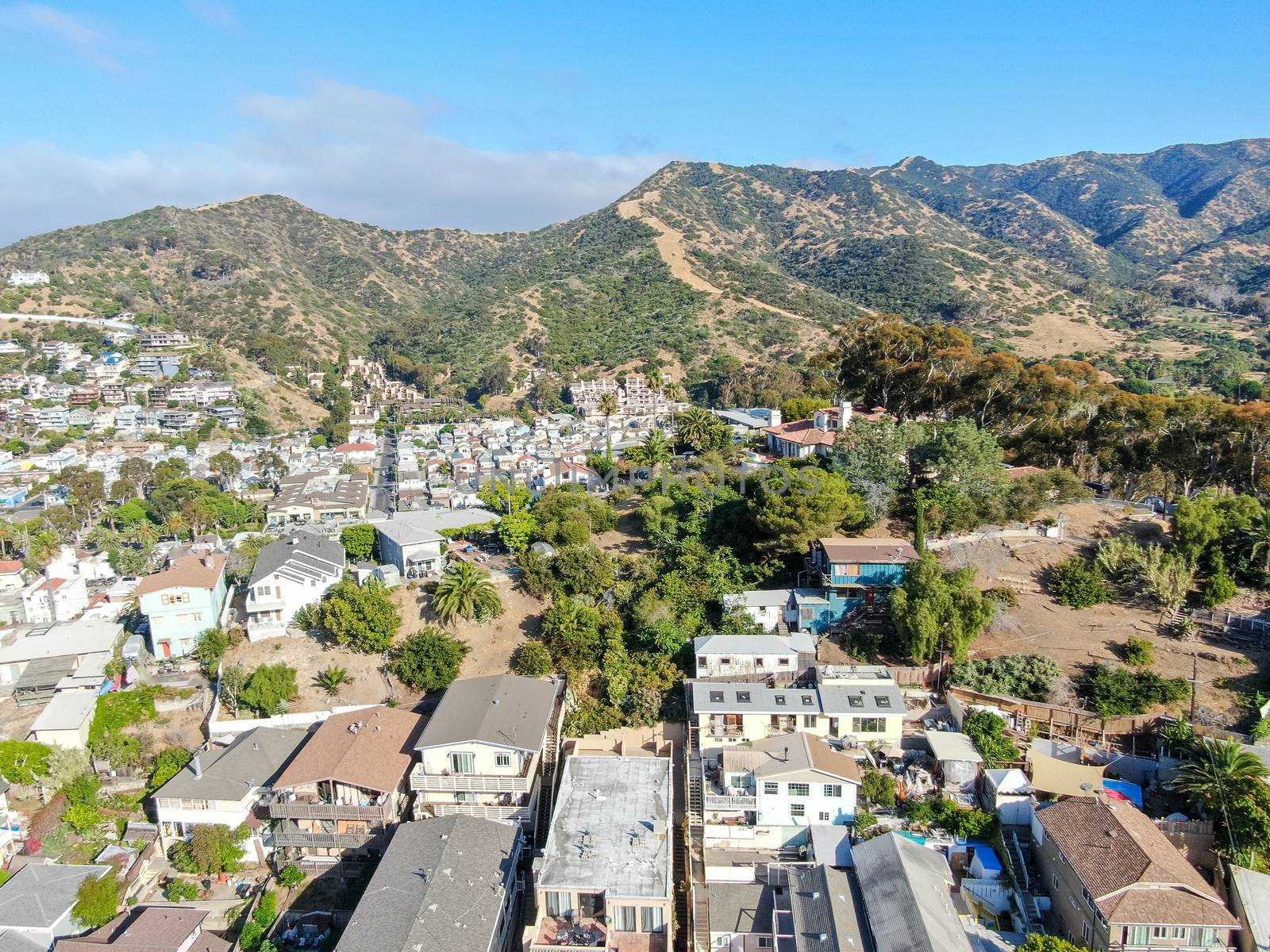 Aerial view of Avalon downtown in Santa Catalina Island, famous tourist attraction in Southern California, USA