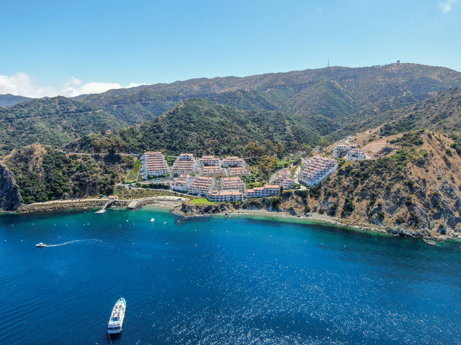 Aerial view of Hamilton Cove with apartment condo building on the cliff, Santa Catalina Island. USA by Bonandbon