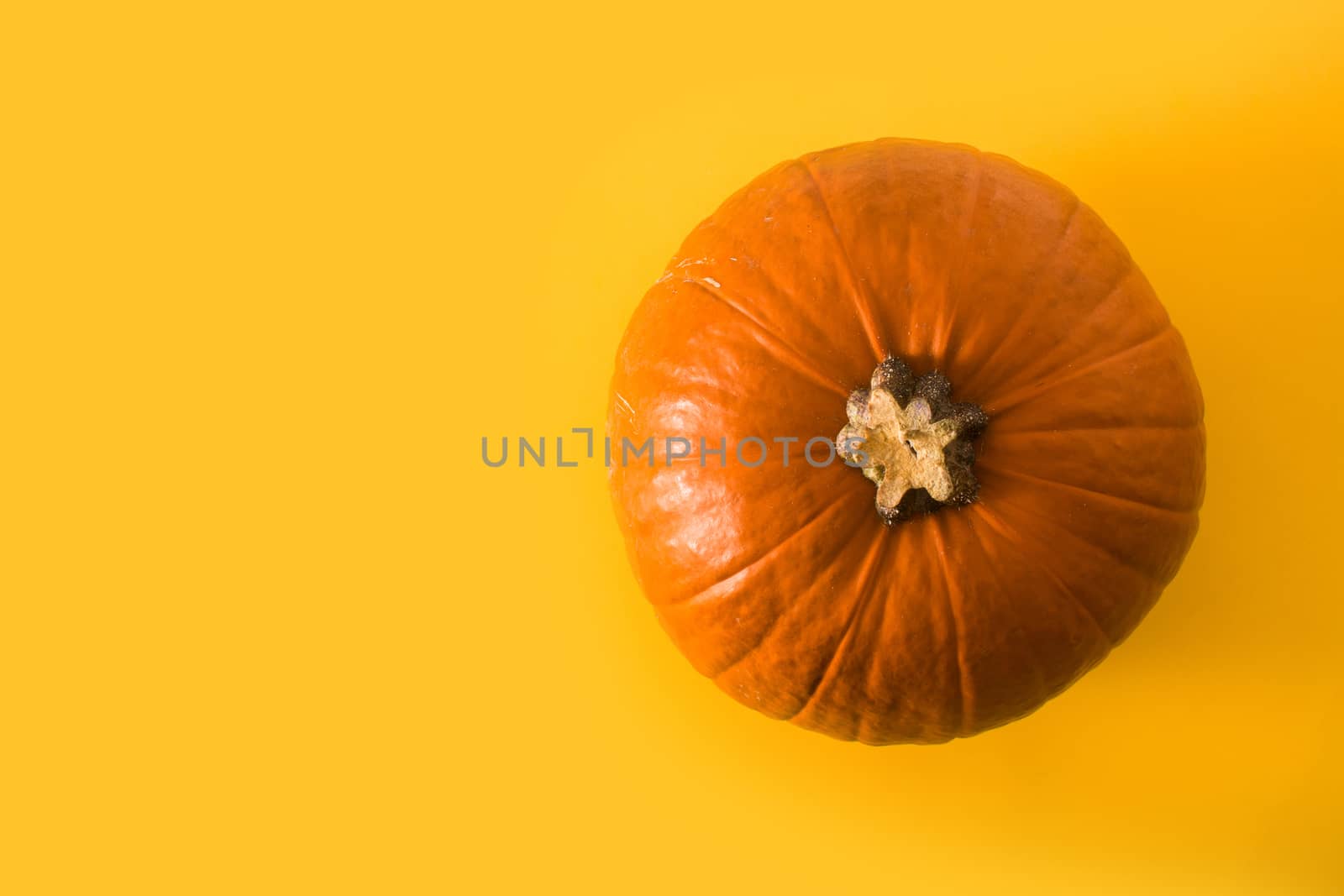 Pumpkin on yellow background